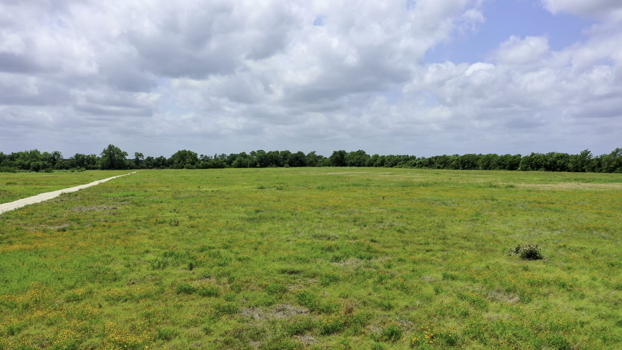 Tbd Cr 328, Tract 2, 10 Acres Property Photo 18