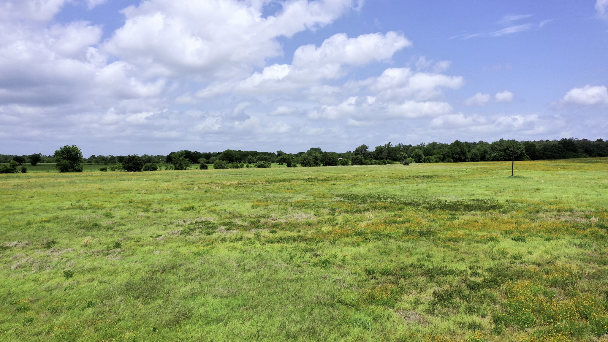 Tbd Cr 328, Tract 2, 10 Acres Property Photo 19