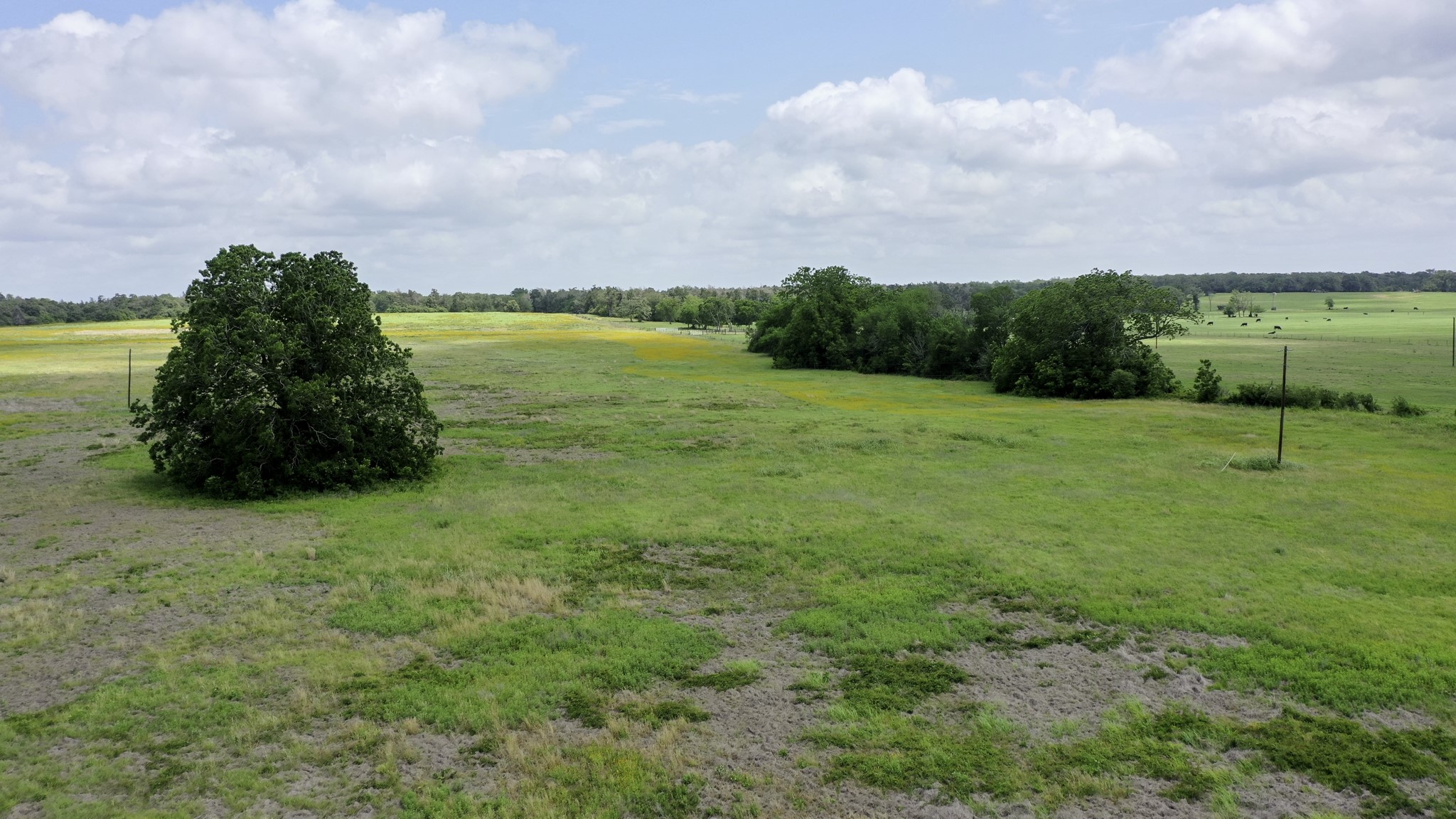 Tbd Cr 328, Tract 2, 10 Acres Property Photo 21