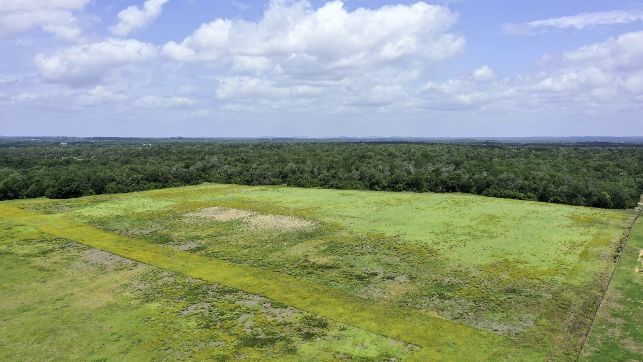 Tbd Cr 328, Tract 2, 10 Acres Property Photo 26