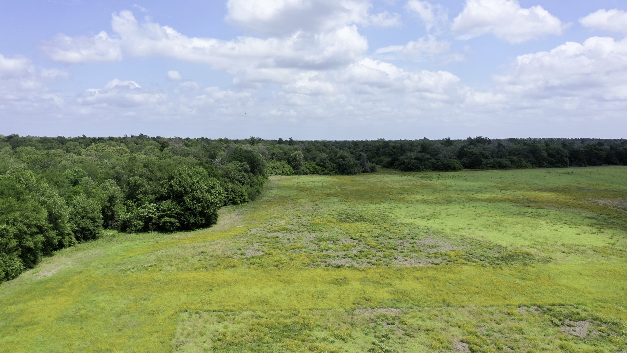 Tbd Cr 328, Tract 2, 10 Acres Property Photo 27