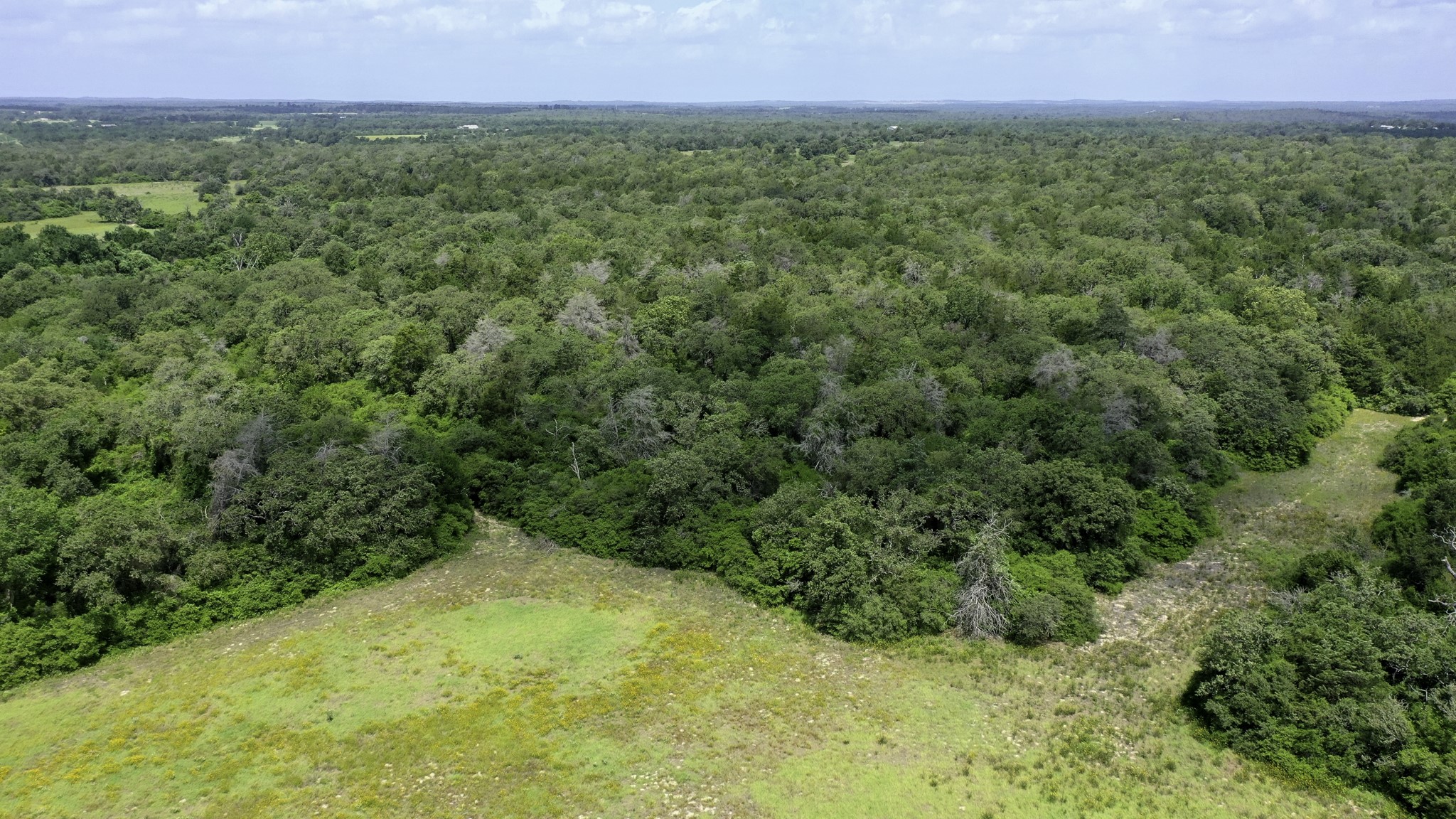 Tbd Cr 328, Tract 2, 10 Acres Property Photo 28