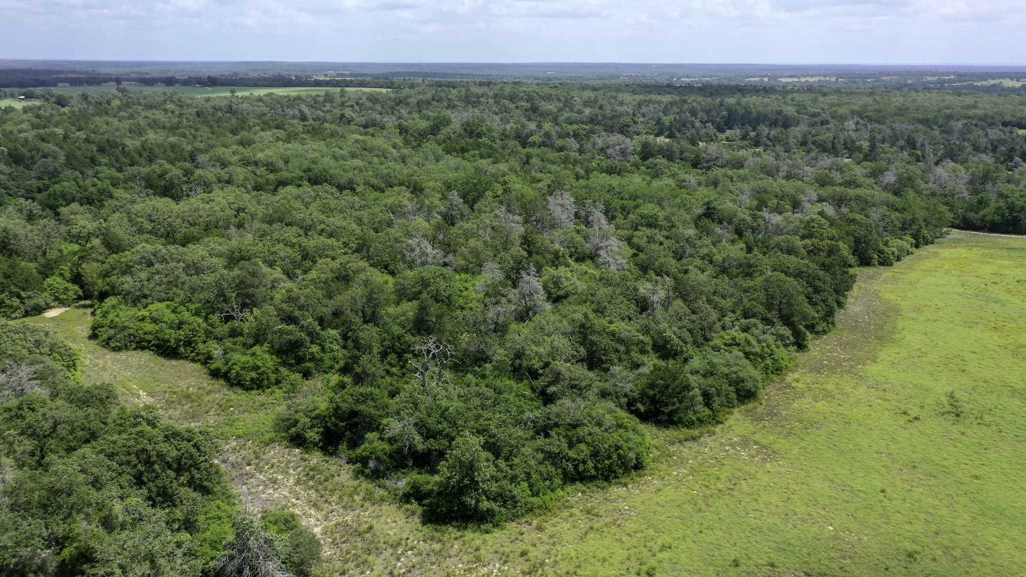Tbd Cr 328, Tract 2, 10 Acres Property Photo 29