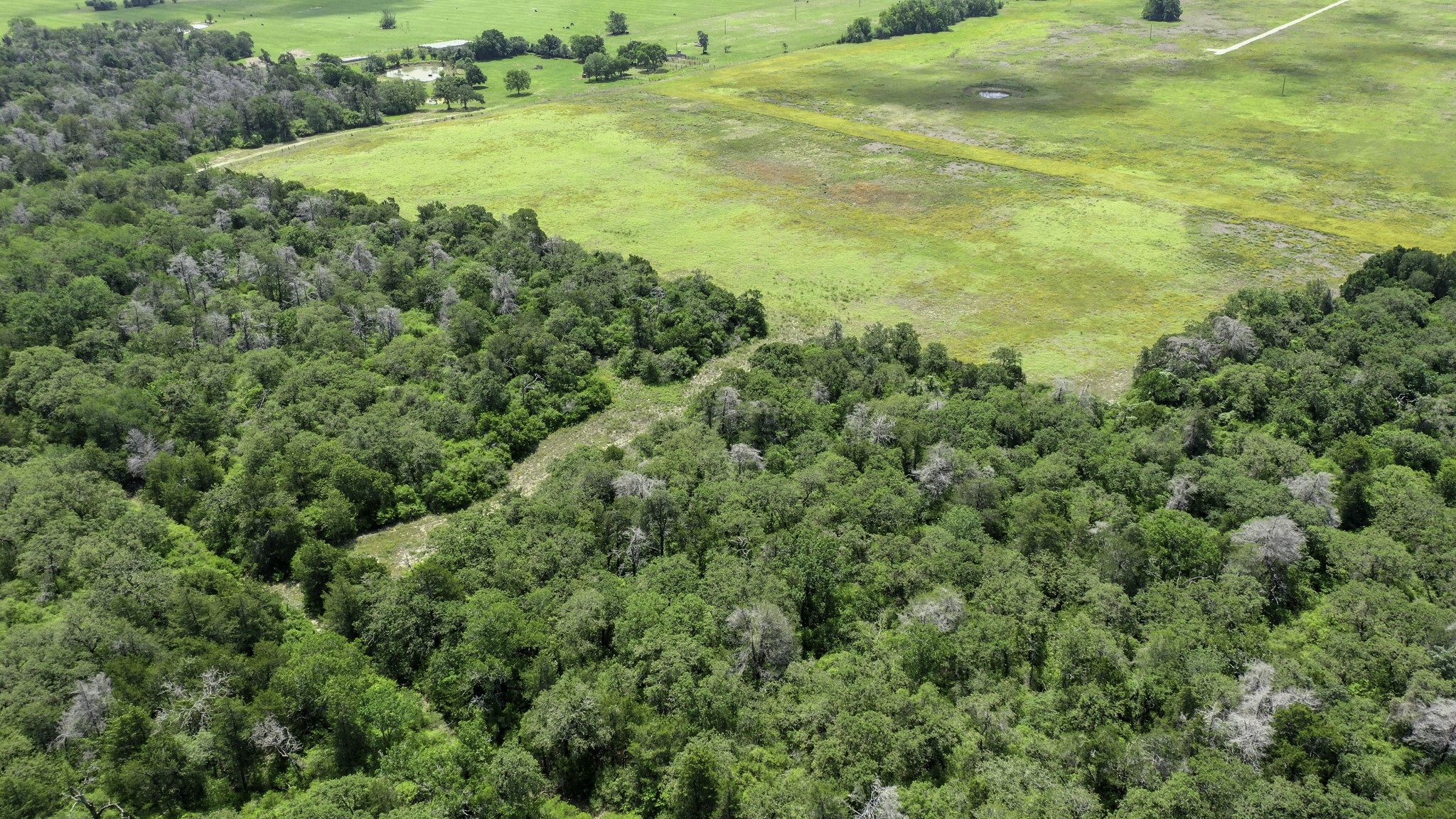 Tbd Cr 328, Tract 2, 10 Acres Property Photo 30
