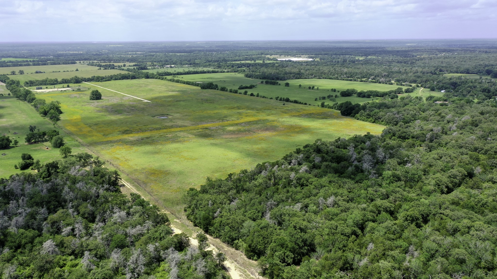Tbd Cr 328, Tract 2, 10 Acres Property Photo 31