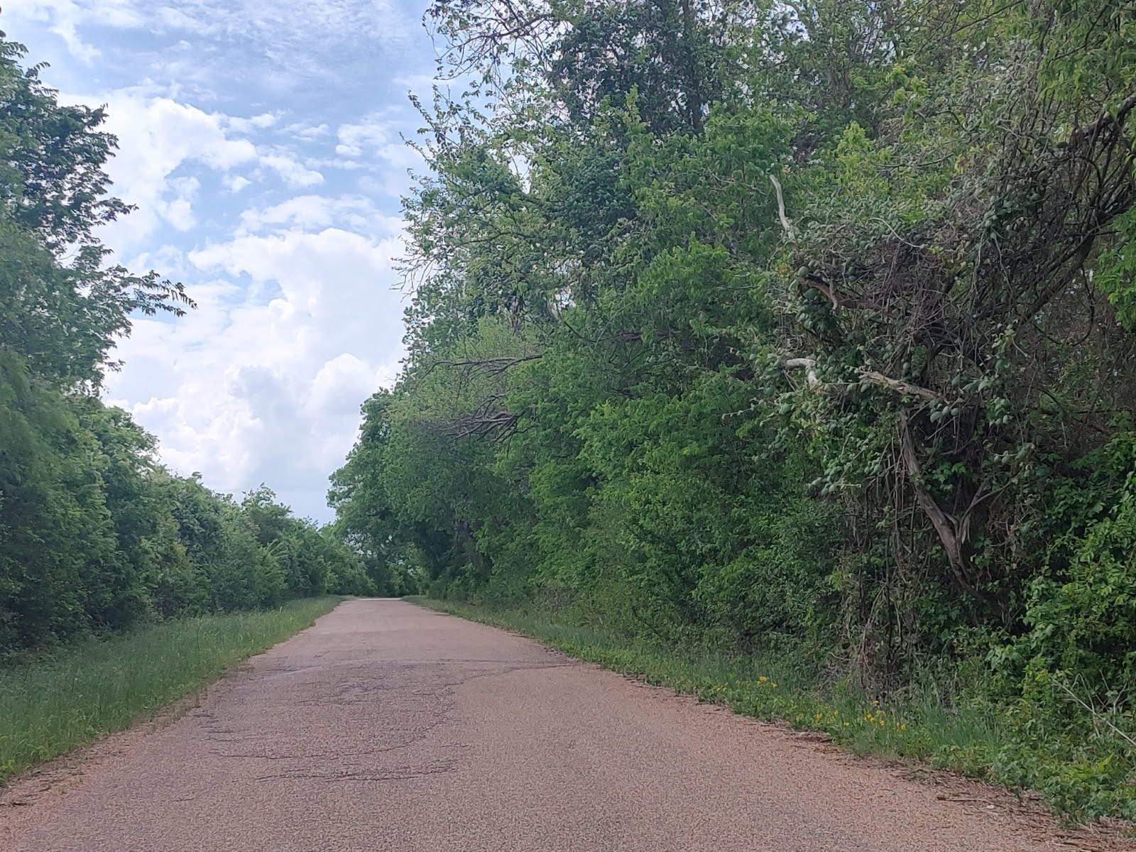 Tbd Cr 328, Tract 2, 10 Acres Property Photo 35