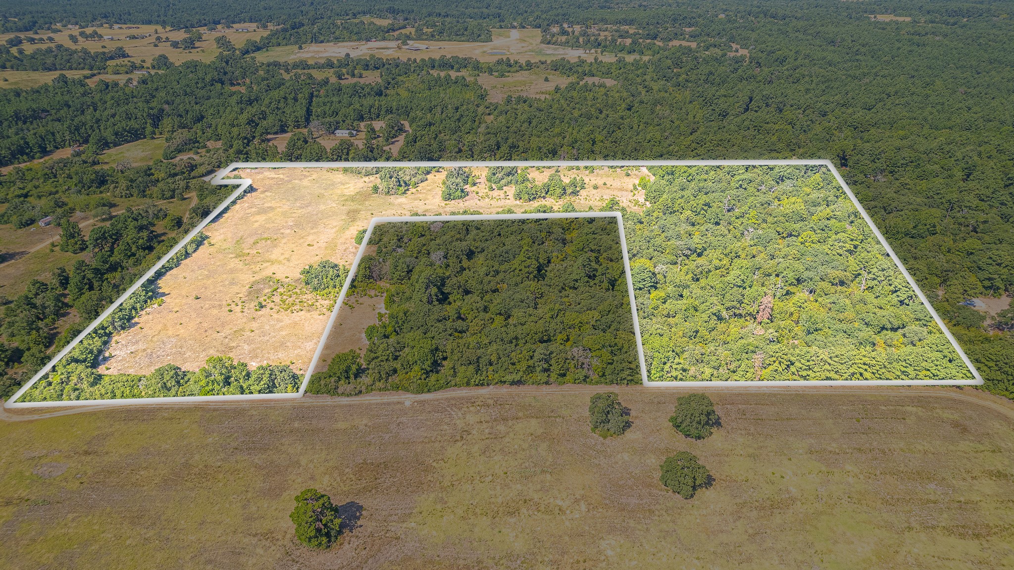 Tbd County Road 228 Property Photo 2