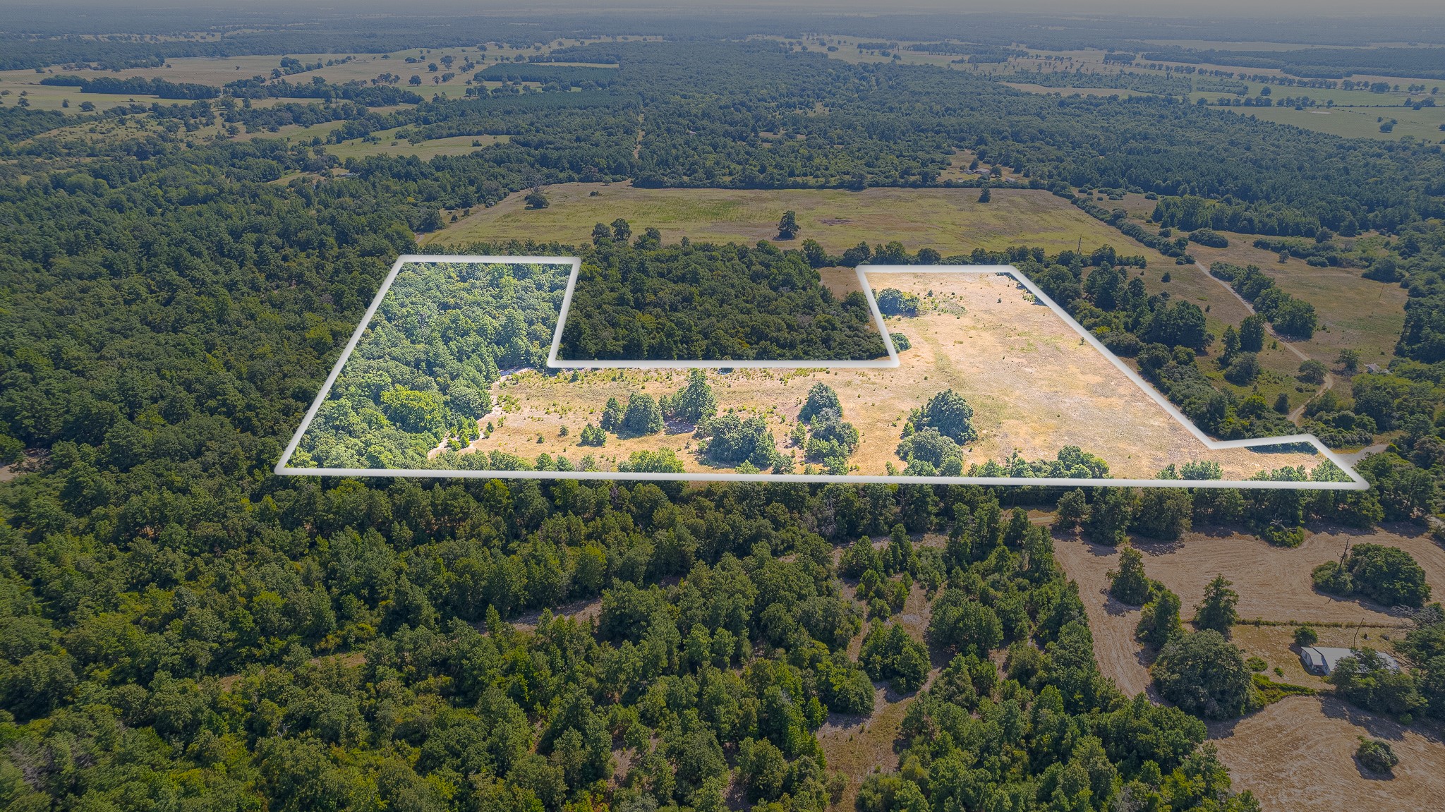 Tbd County Road 228 Property Photo 3