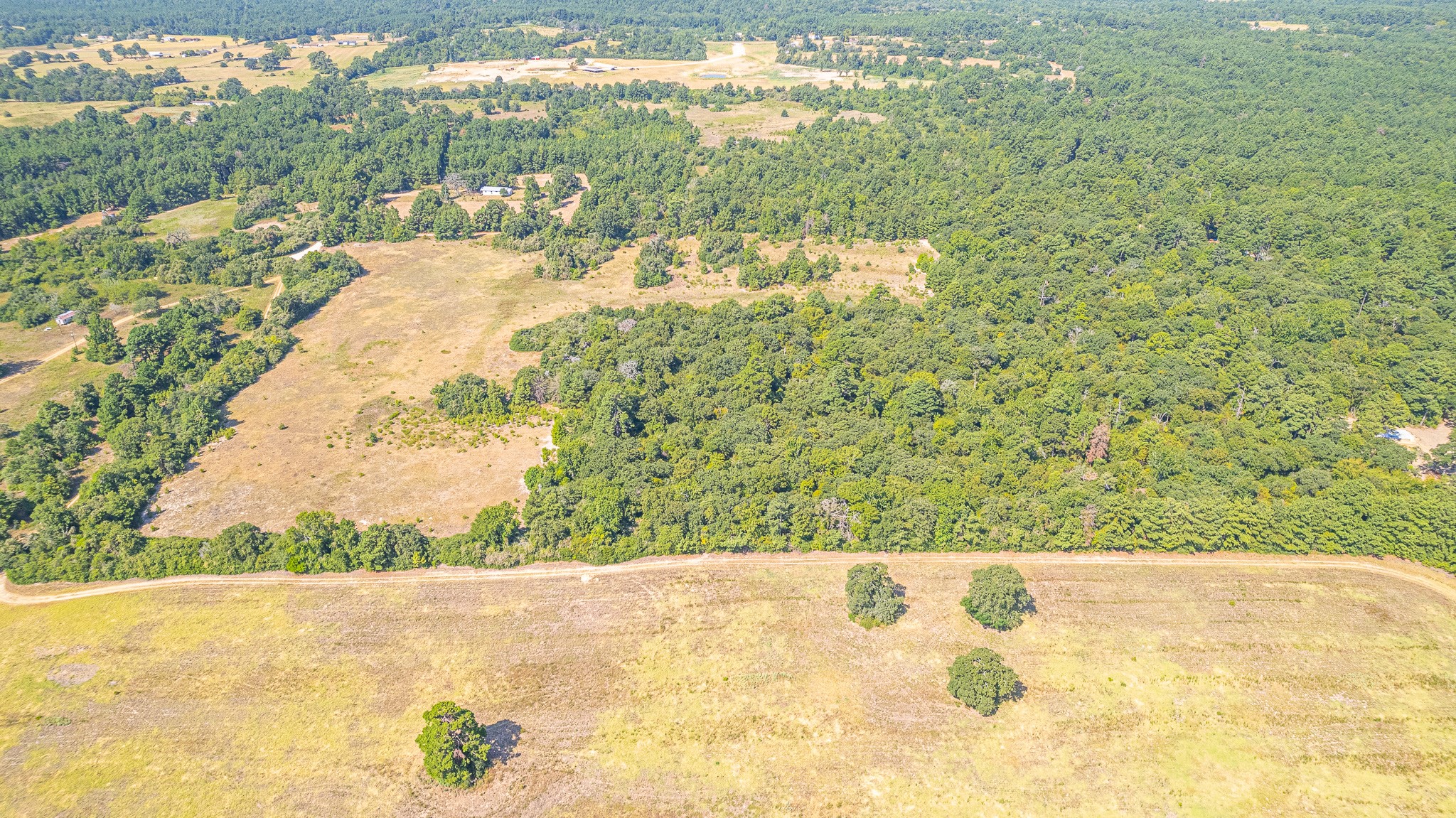 Tbd County Road 228 Property Photo 5