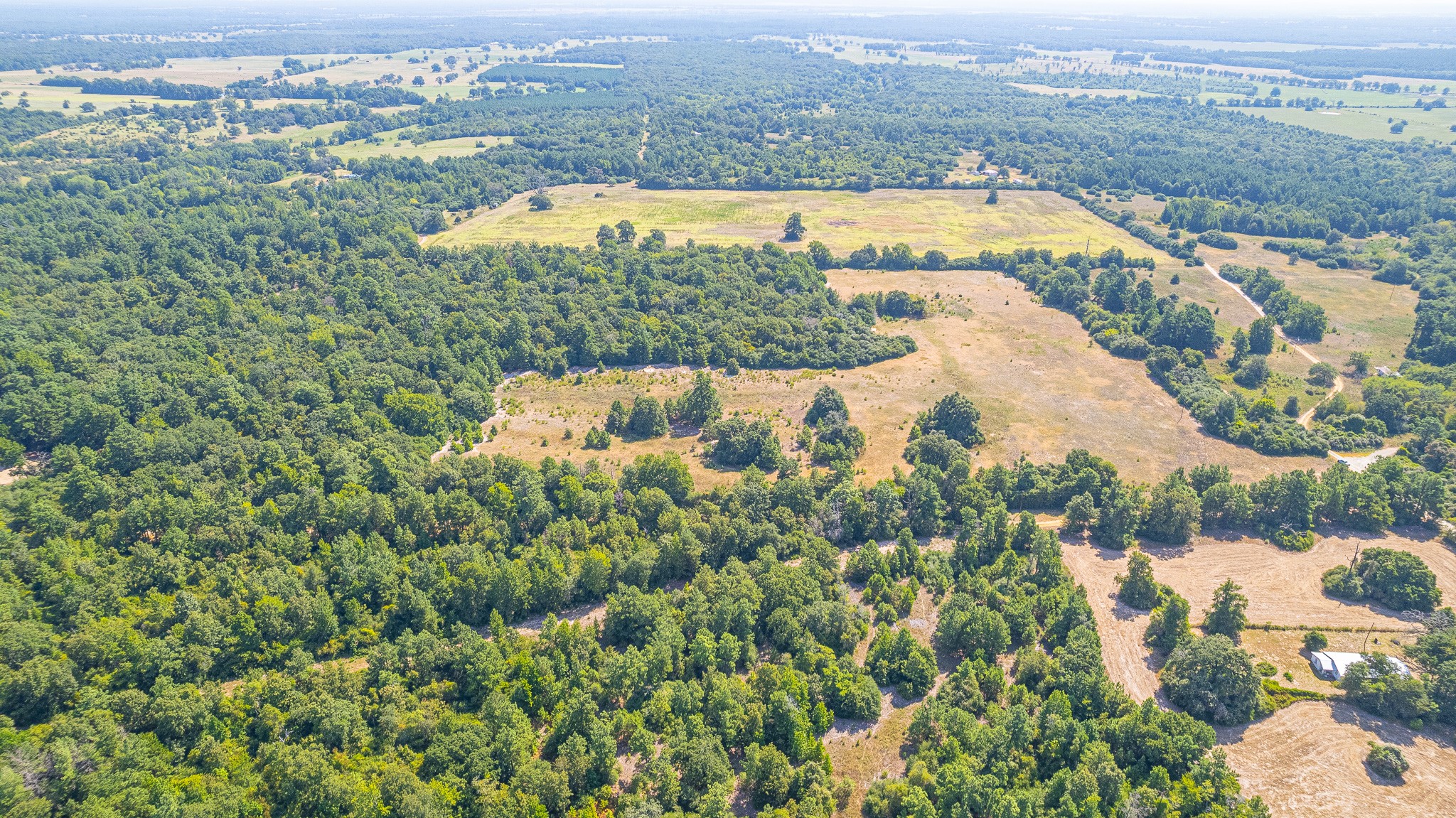 Tbd County Road 228 Property Photo 6