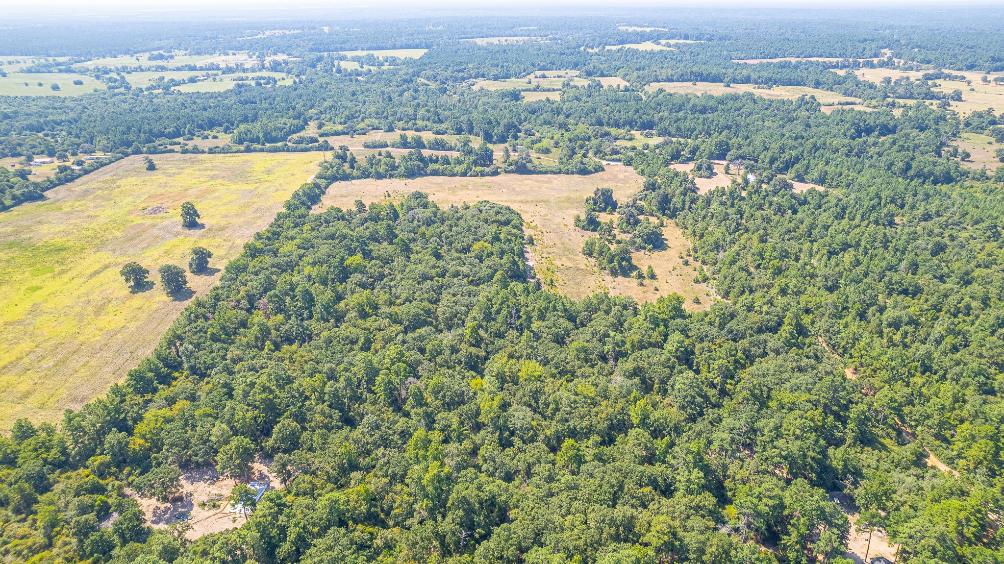 Tbd County Road 228 Property Photo 8