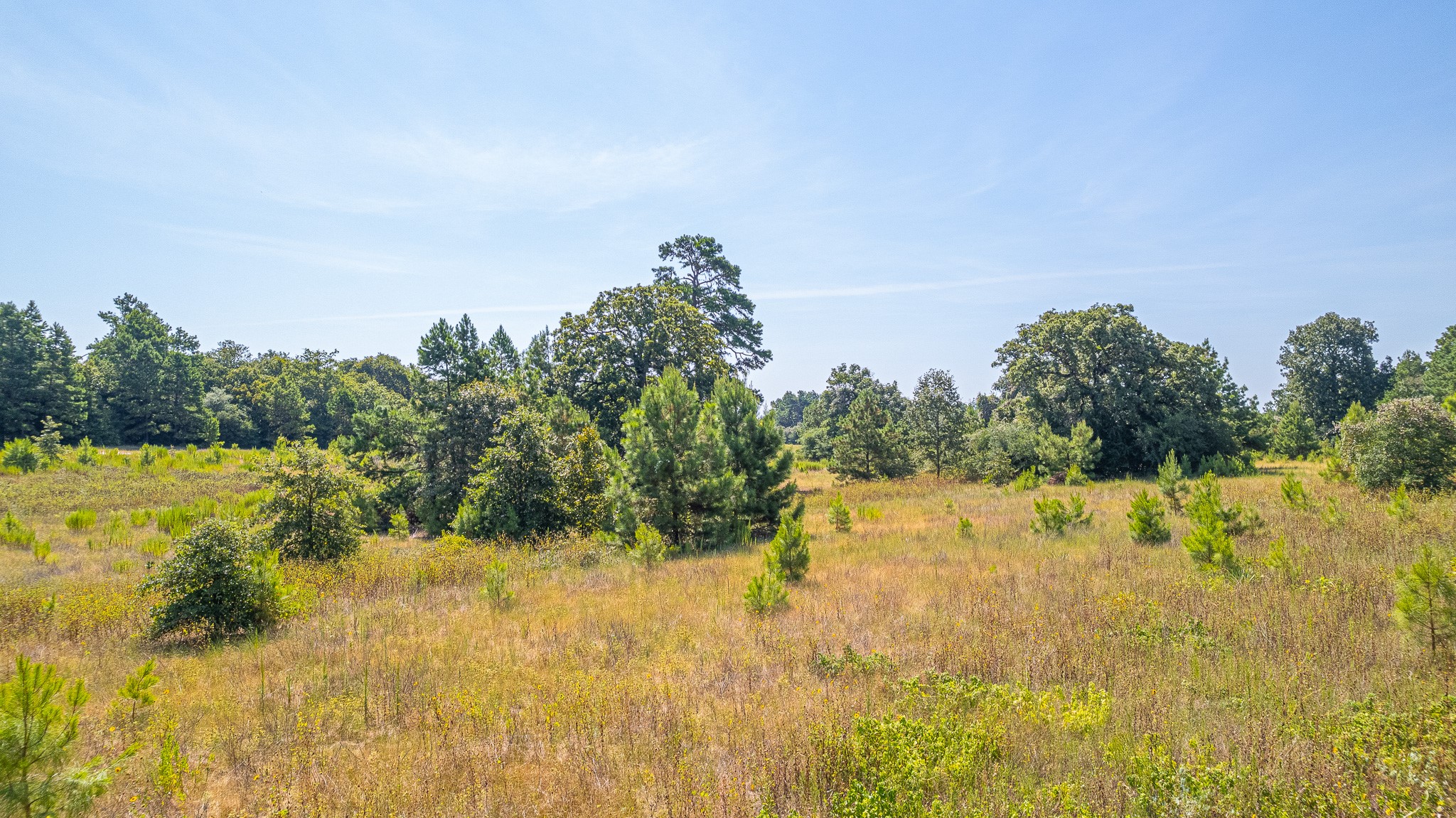 Tbd County Road 228 Property Photo 11
