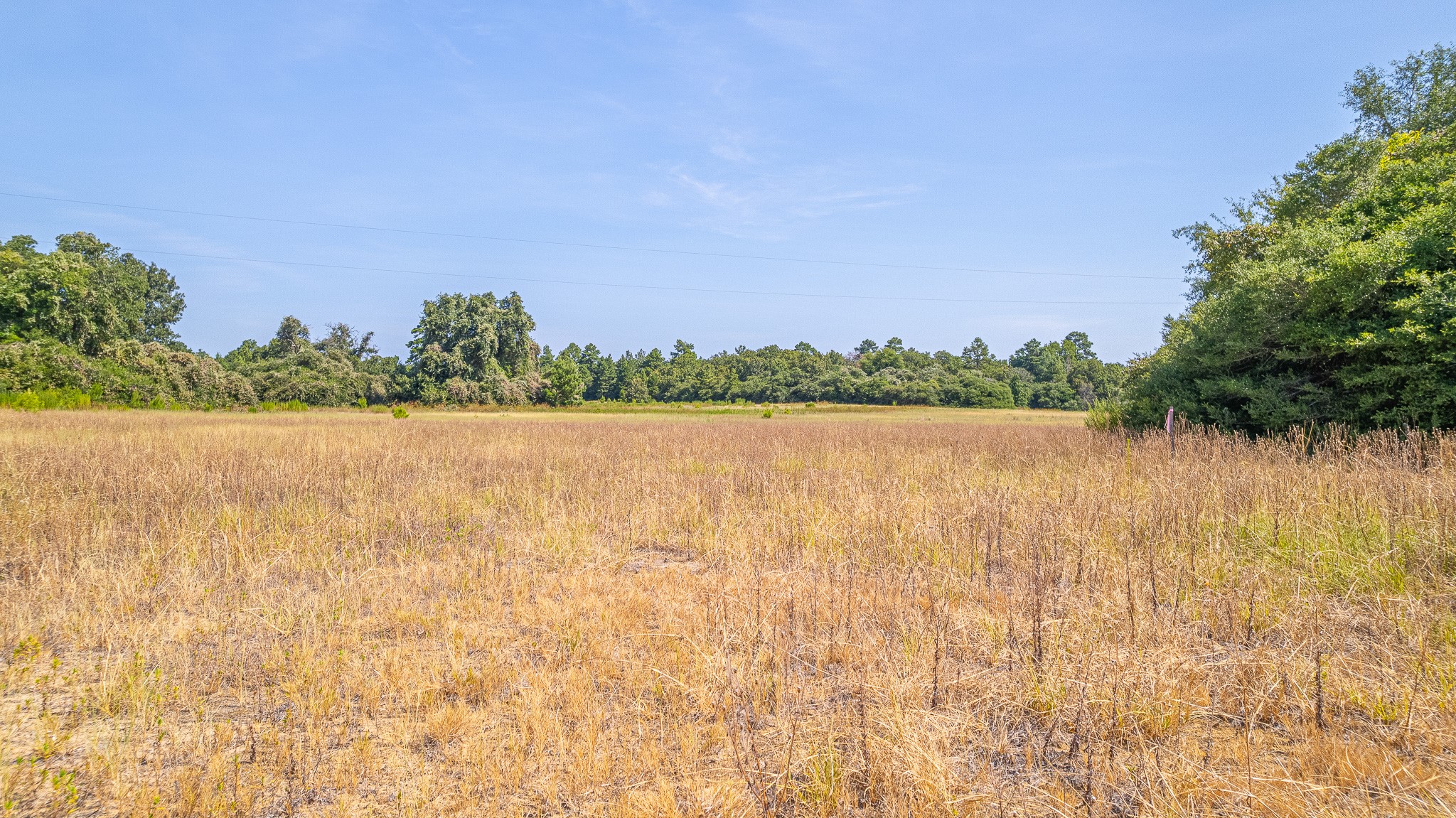 Tbd County Road 228 Property Photo 12