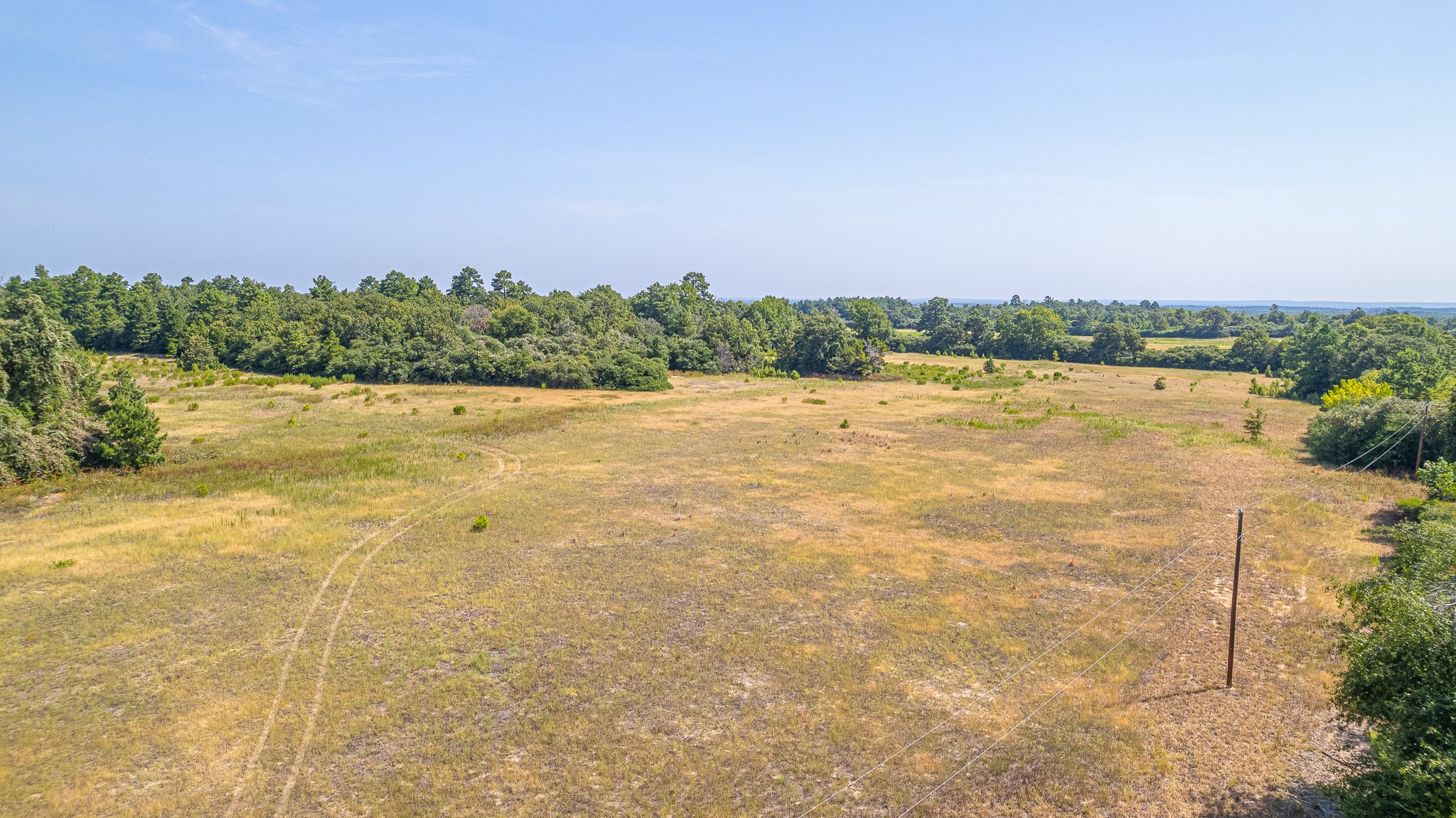 Tbd County Road 228 Property Photo 13