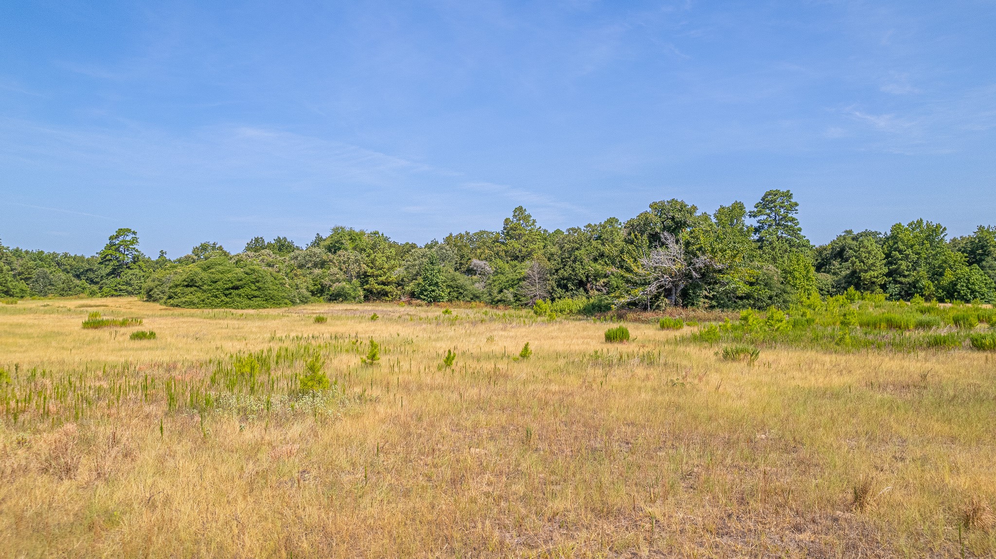 Tbd County Road 228 Property Photo 14