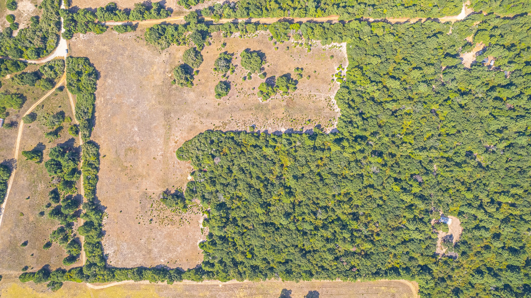 Tbd County Road 228 Property Photo 15
