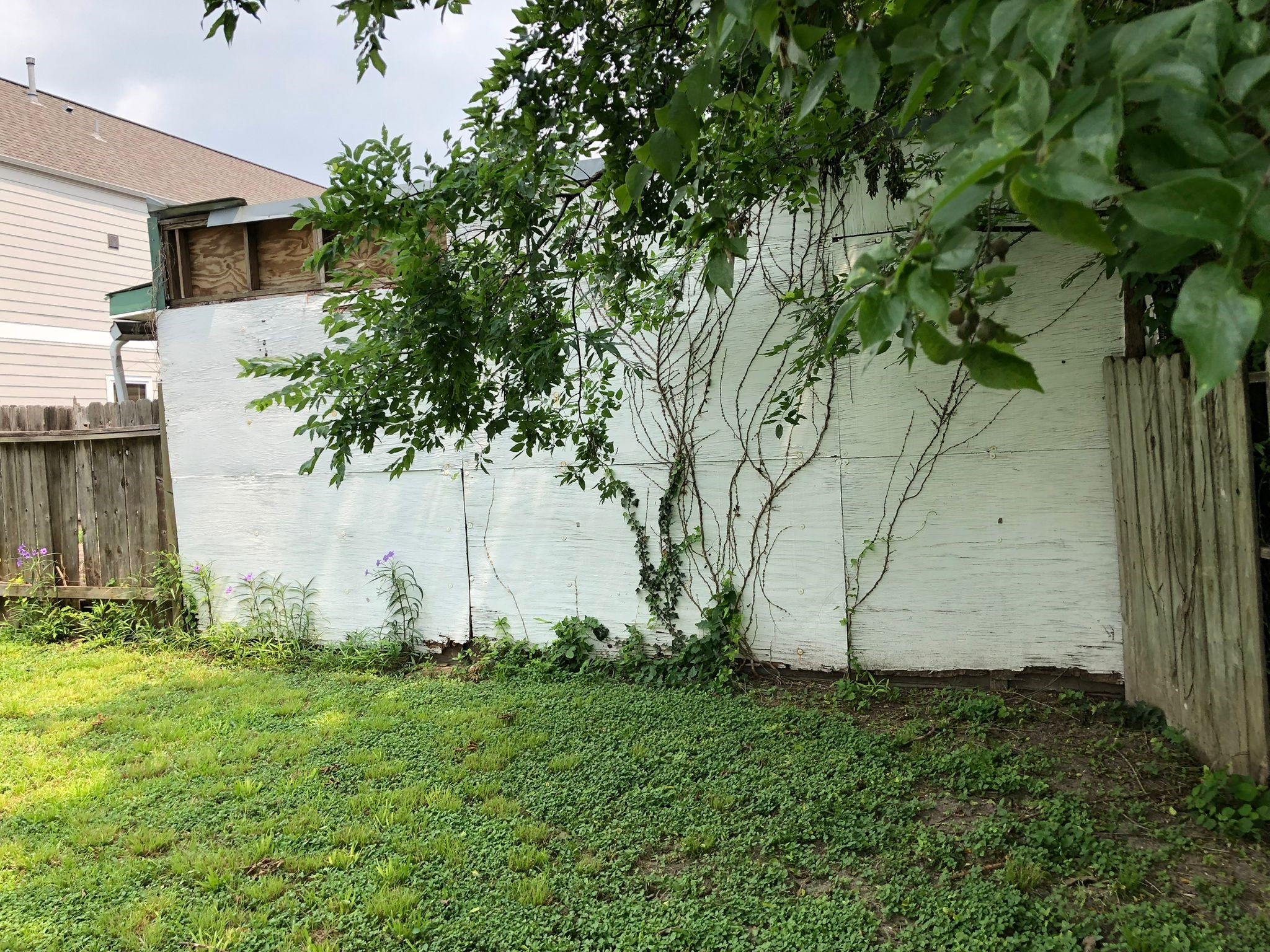 1132 W Cavalcade Street Property Photo 26