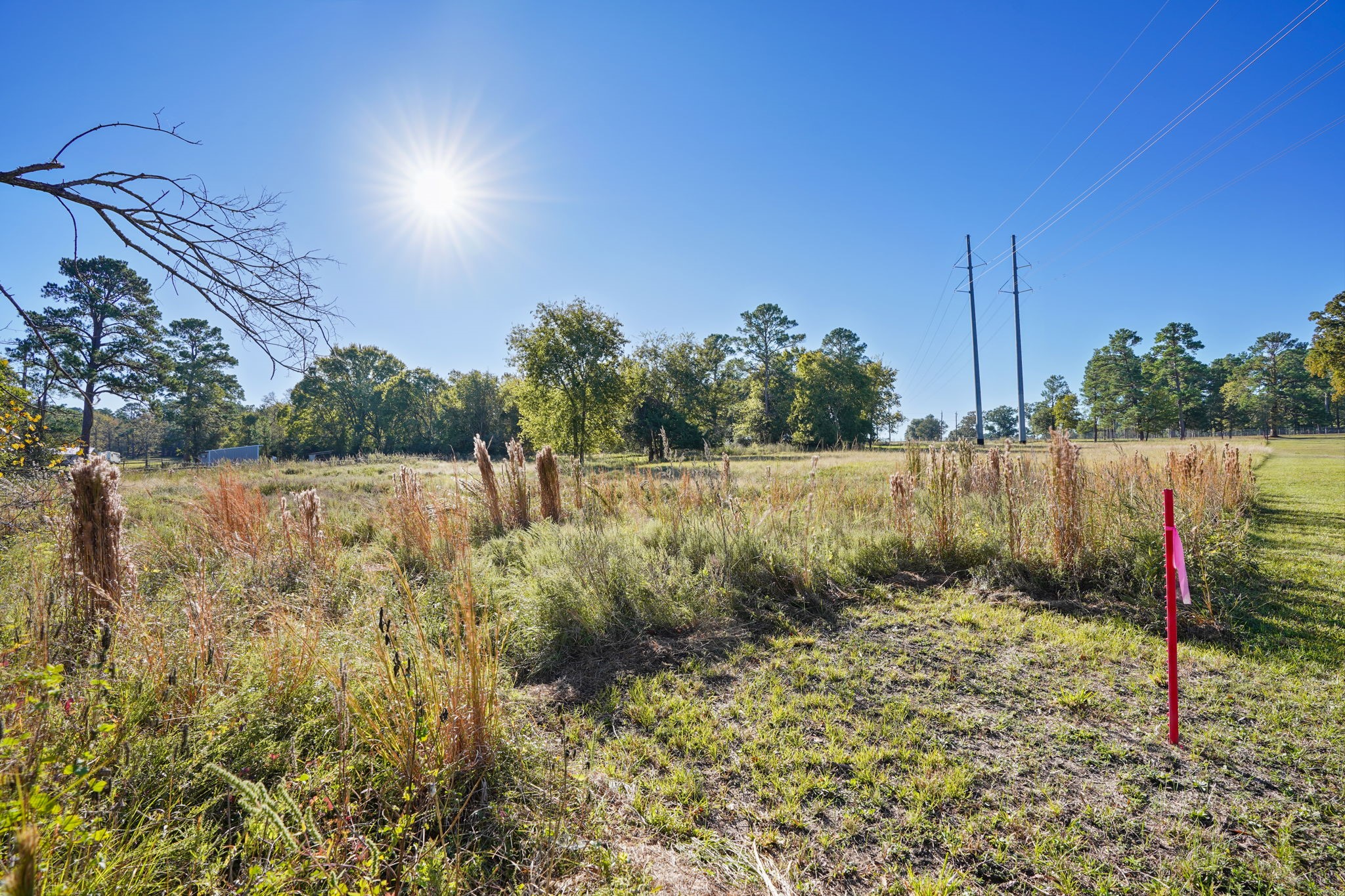 12029 Thompson Road Property Photo 6