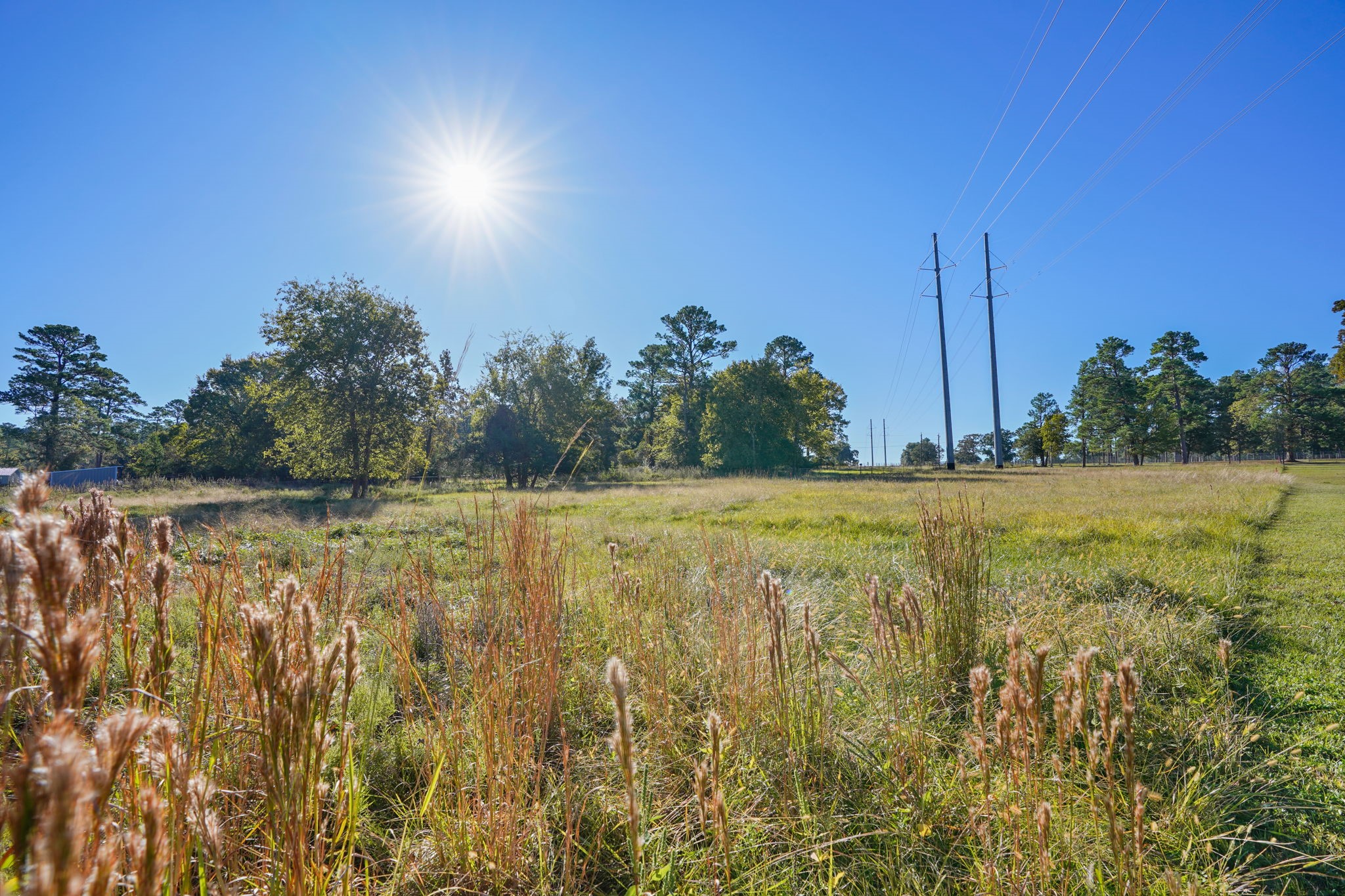 12029 Thompson Road Property Photo 7