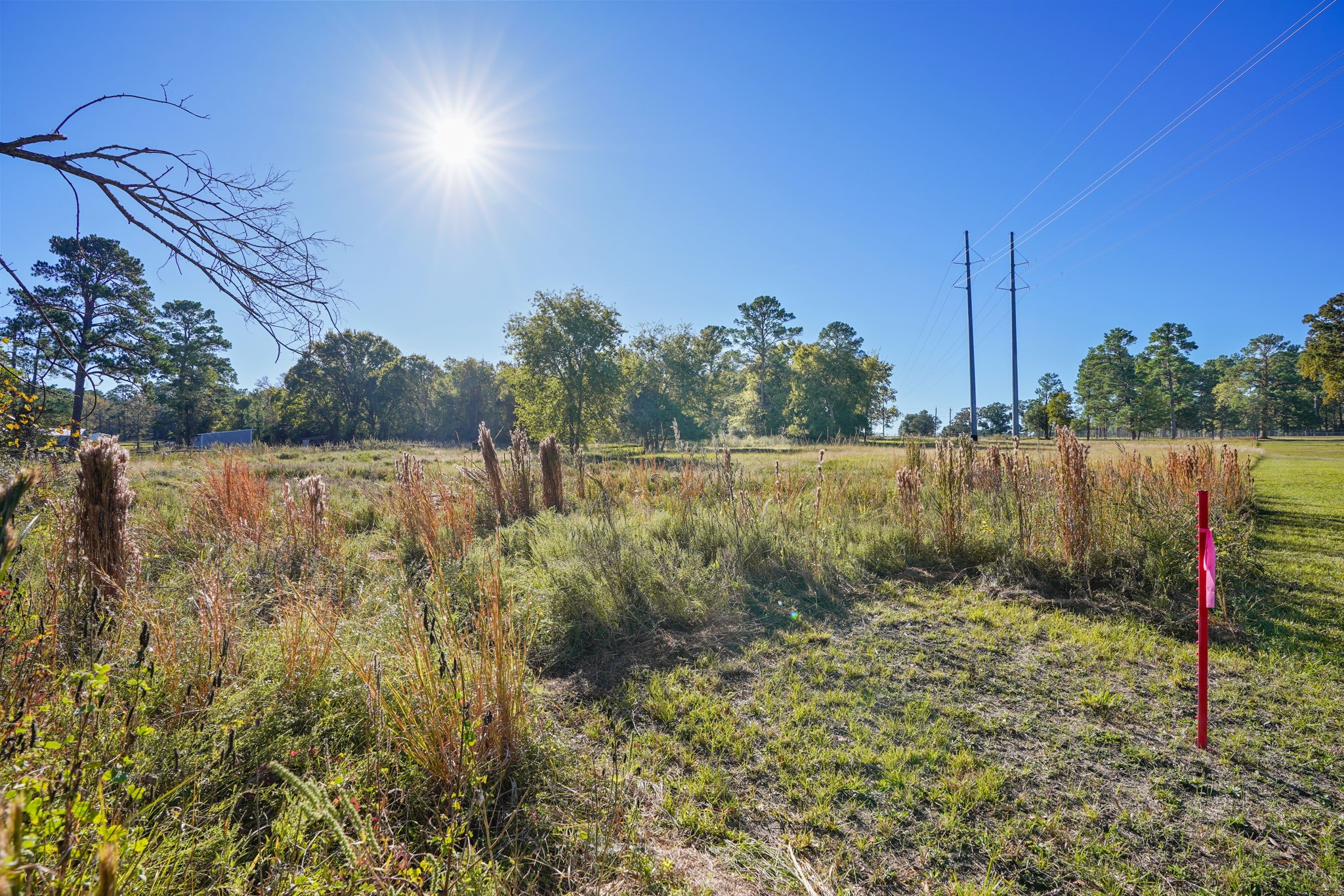 12029 Thompson Road Property Photo 8