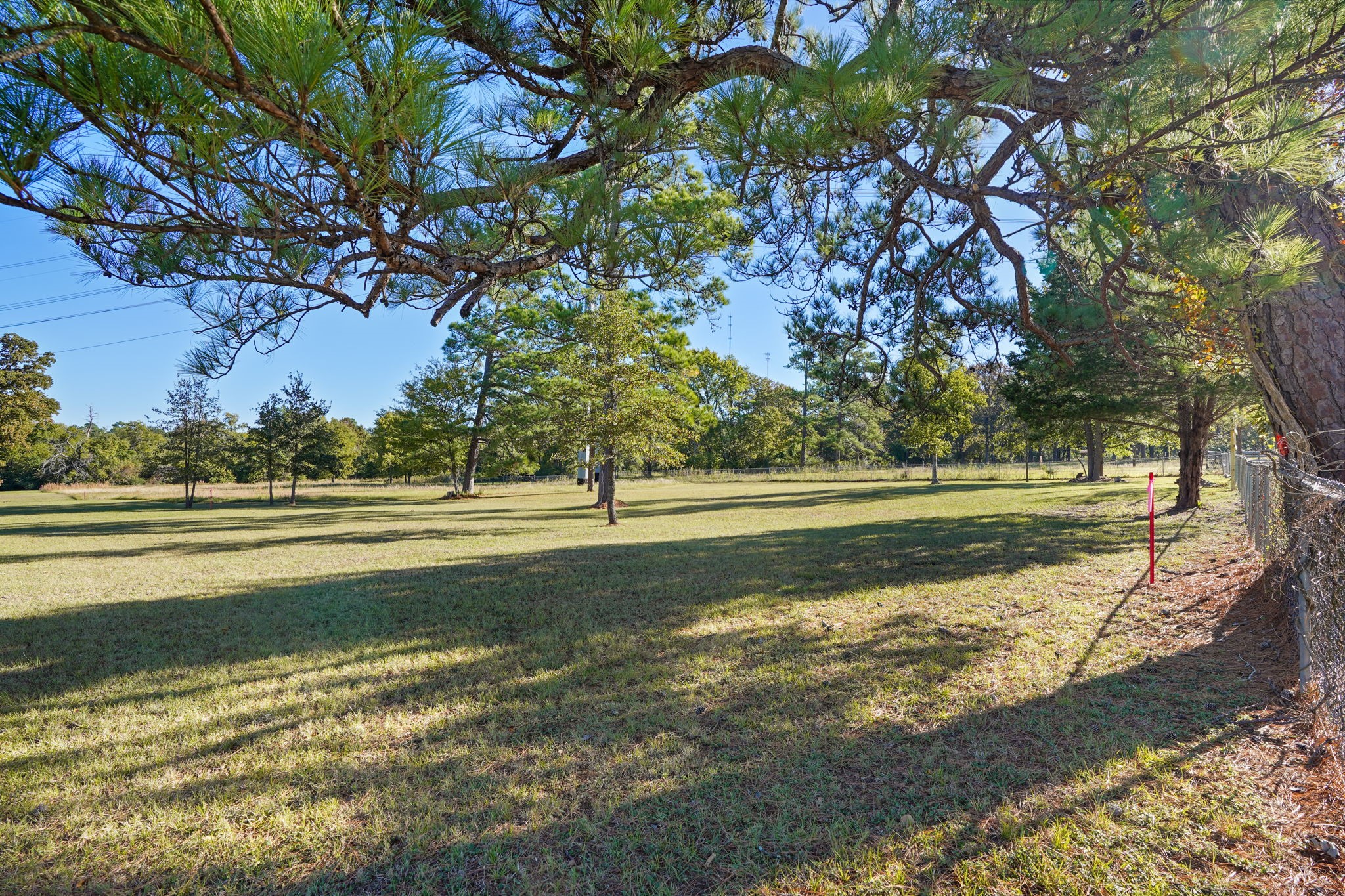 12029 Thompson Road Property Photo 9