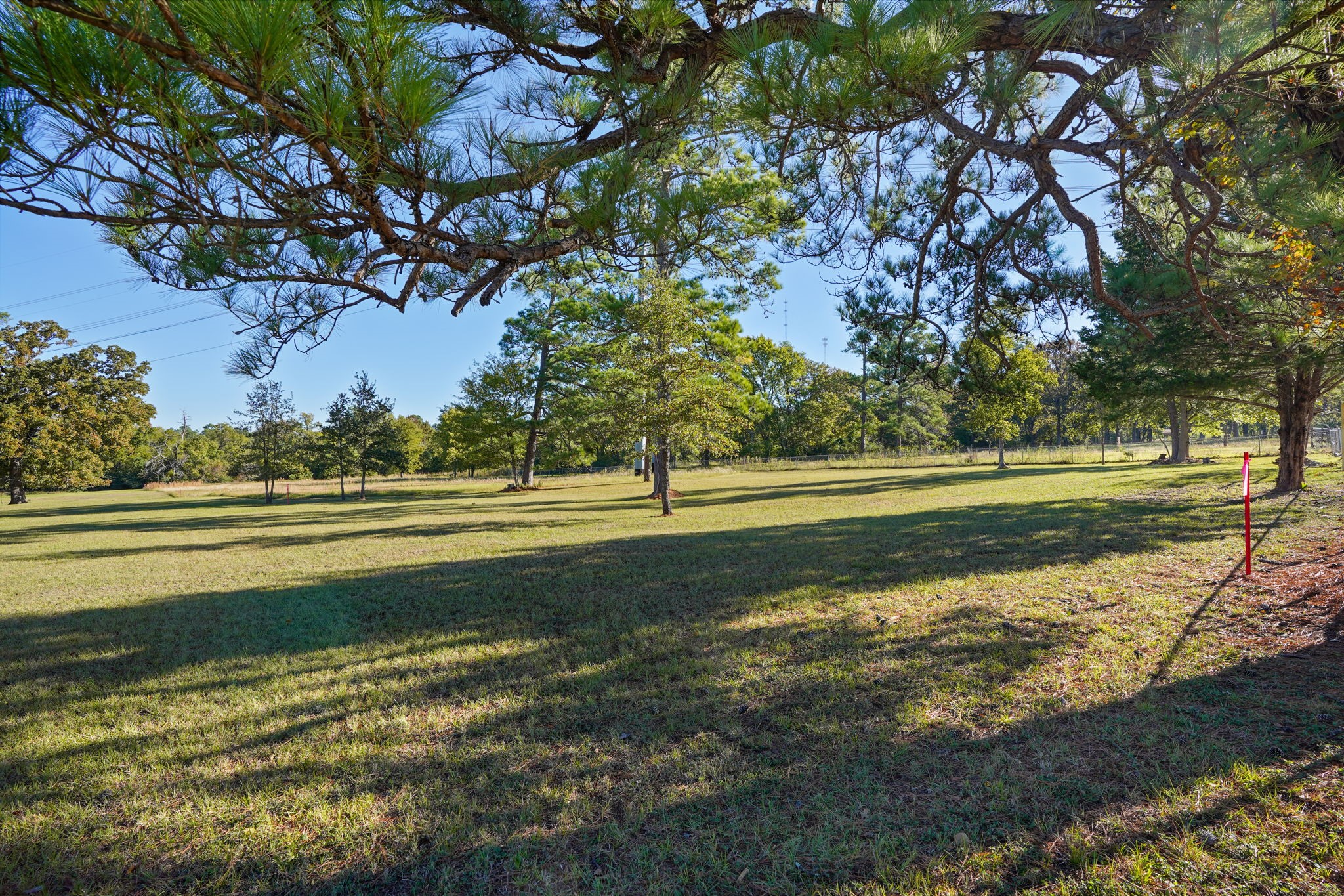 12029 Thompson Road Property Photo 10