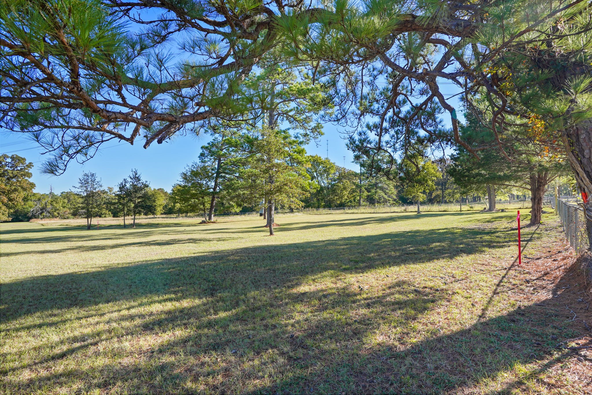 12029 Thompson Road Property Photo 11