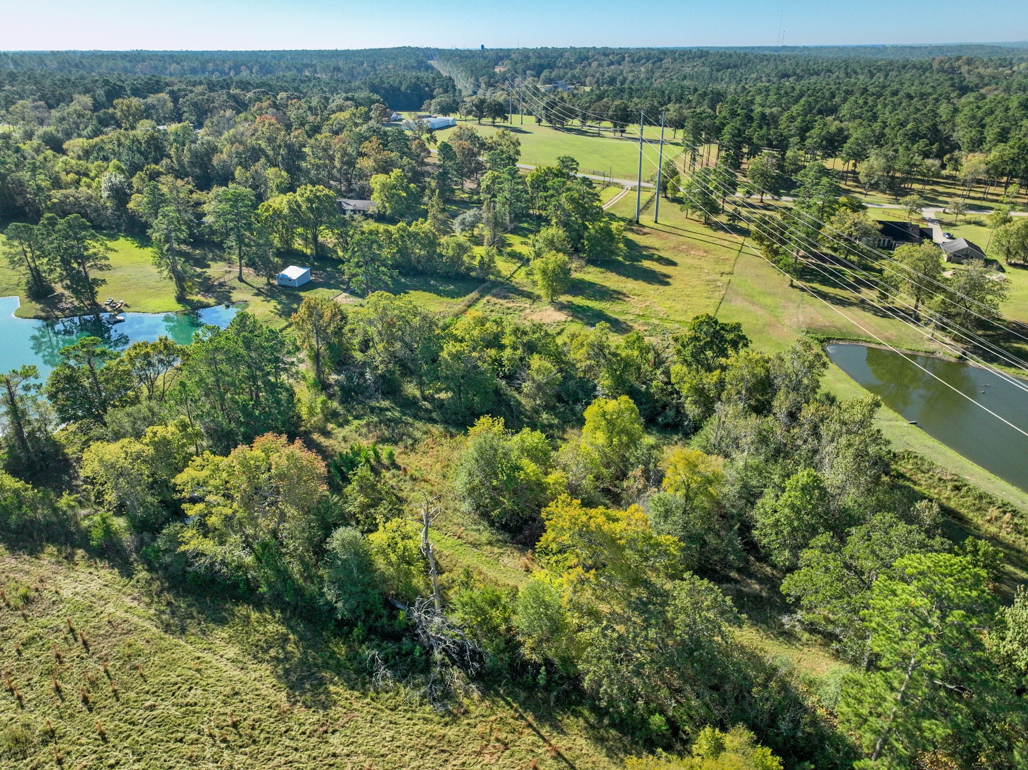 12029 Thompson Road Property Photo 23