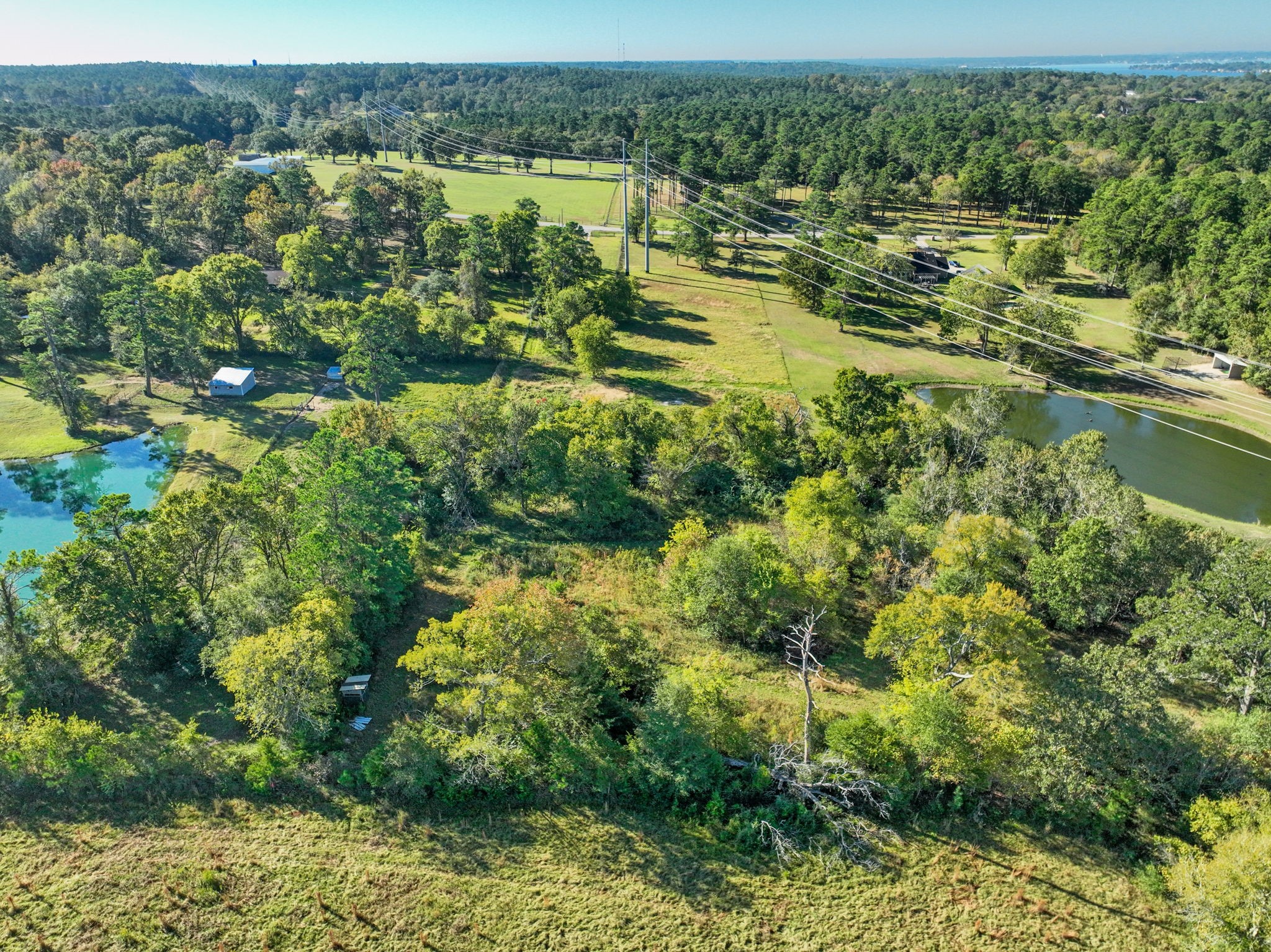 12029 Thompson Road Property Photo 24
