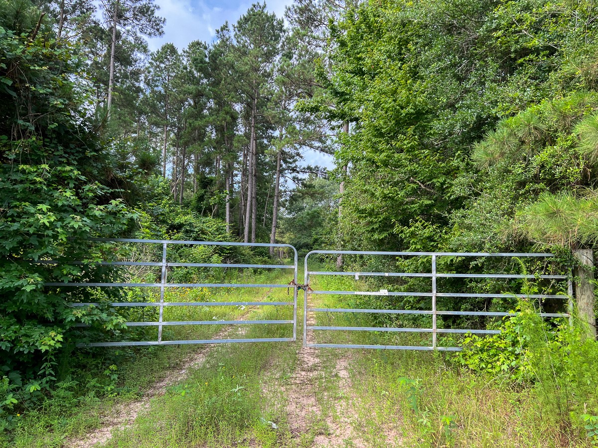 000 Fm 1725 Property Photo 3