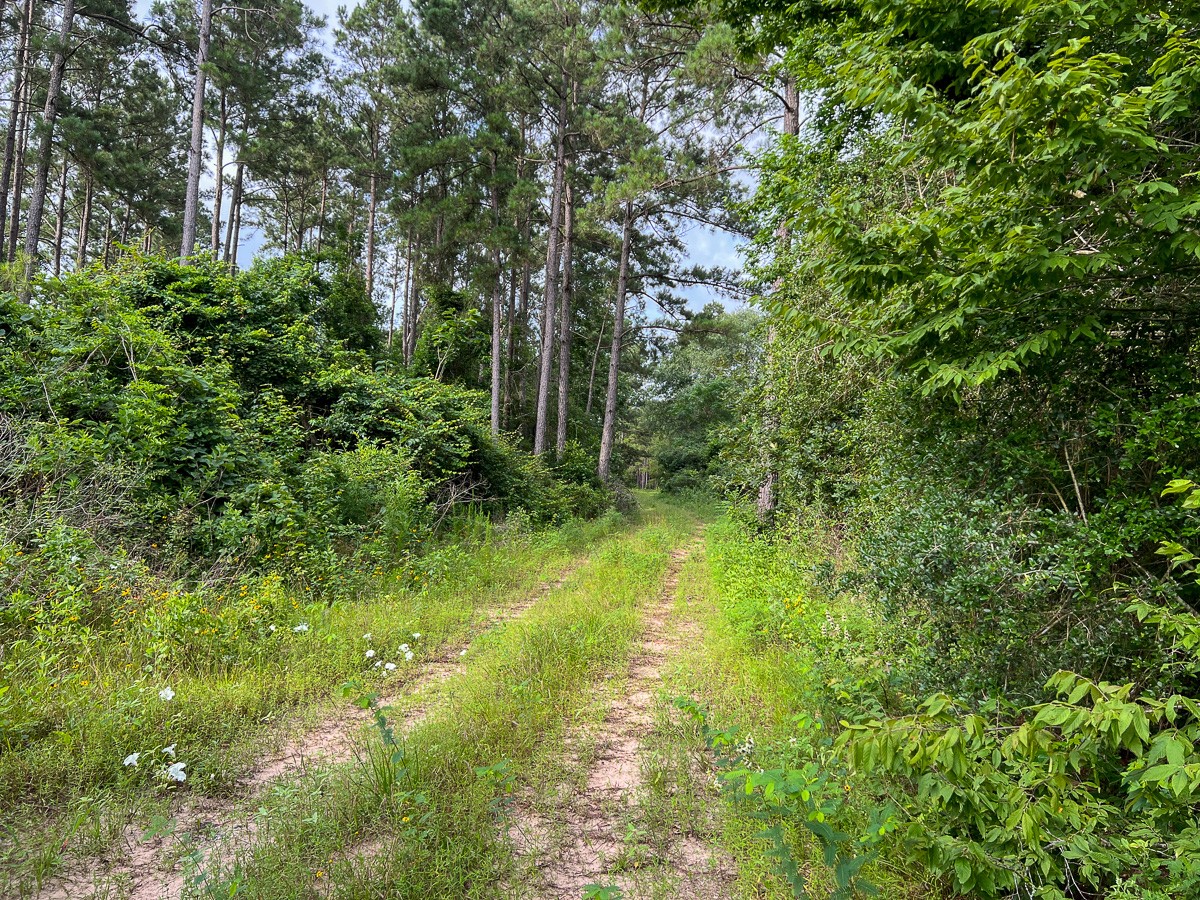 000 Fm 1725 Property Photo 4