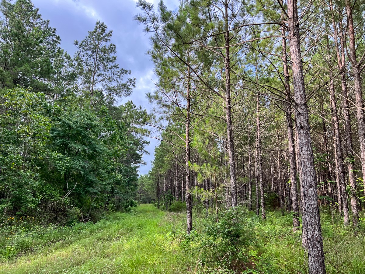 000 Fm 1725 Property Photo 15