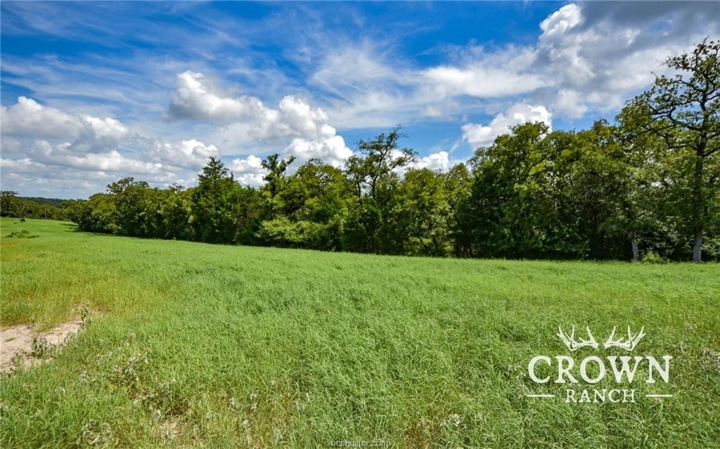 Tbd Fm 908 - 1057 Acres Property Photo 4