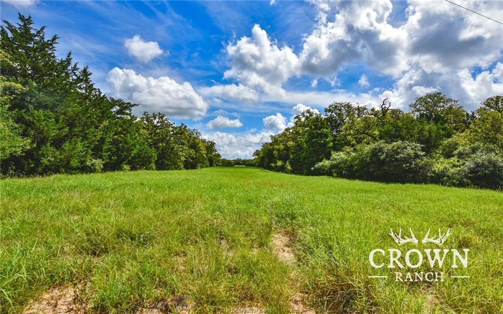 Tbd Fm 908 - 1057 Acres Property Photo 7