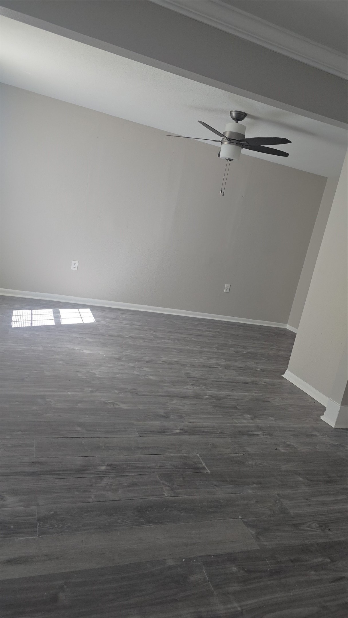 2509 Morningside Lane Property Photo 18