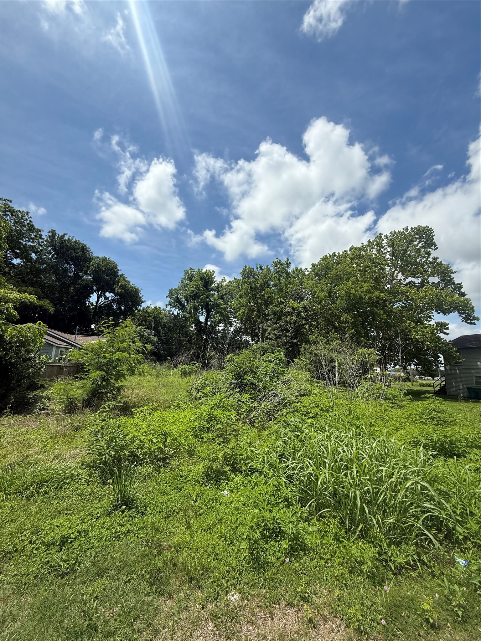 207 Prune Street Property Photo 4