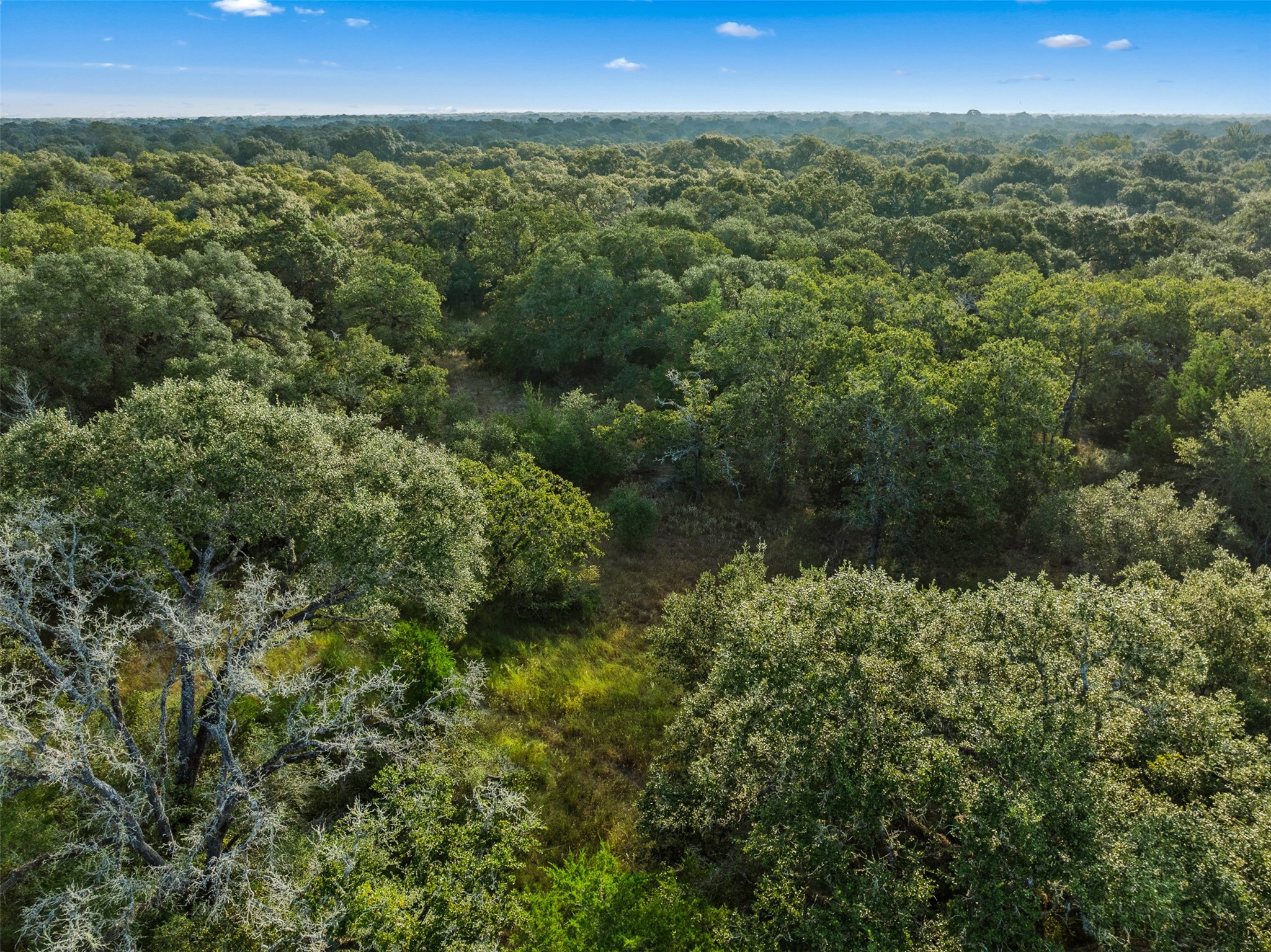 00 Red Oak Court Property Photo 17