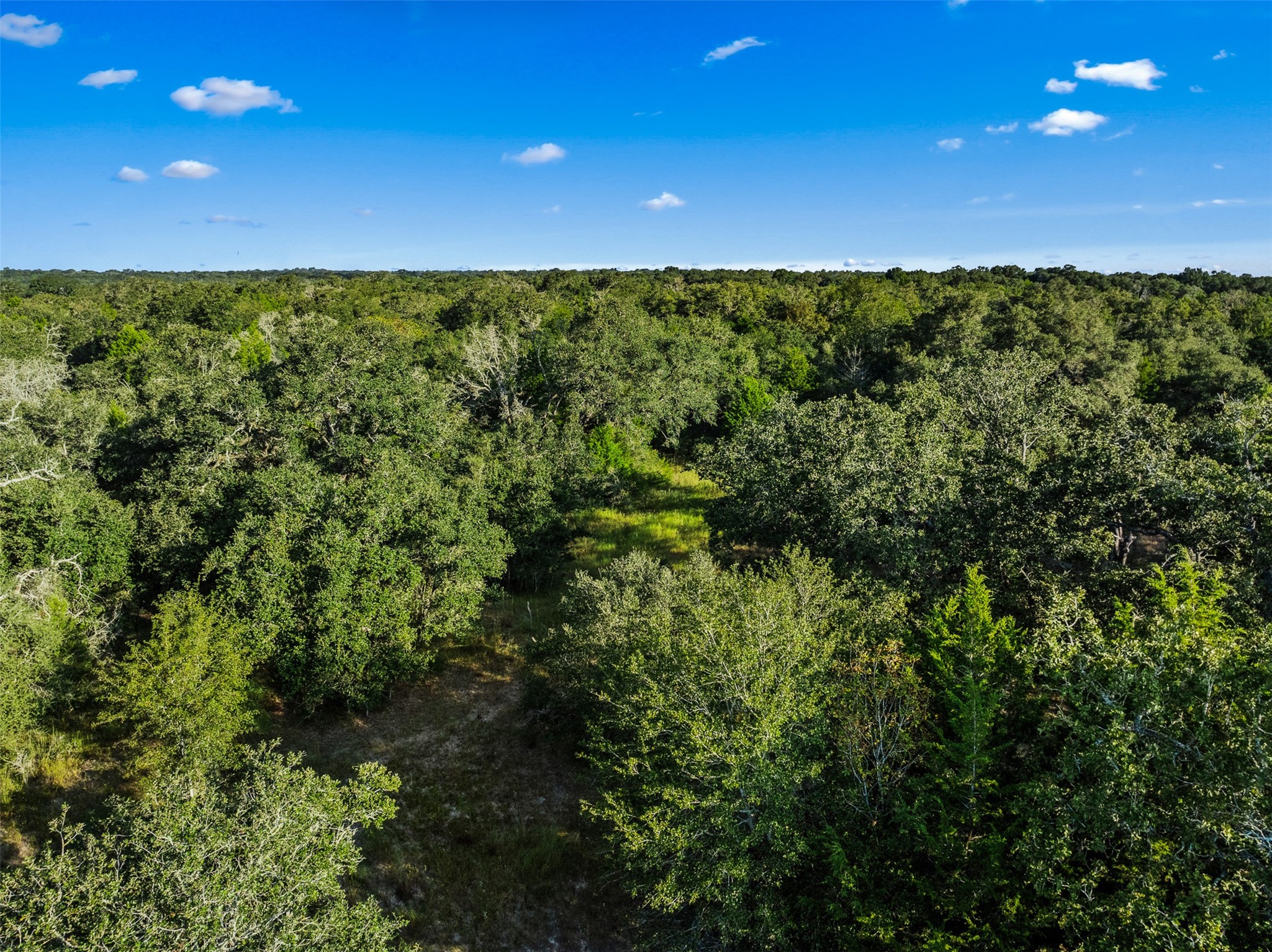 00 Red Oak Court Property Photo 21