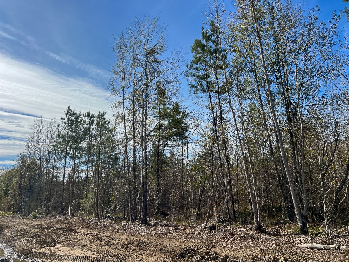 T-3 Hwy 1131 Property Photo 6