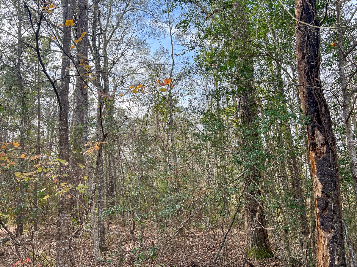 T-3 Hwy 1131 Property Photo 11