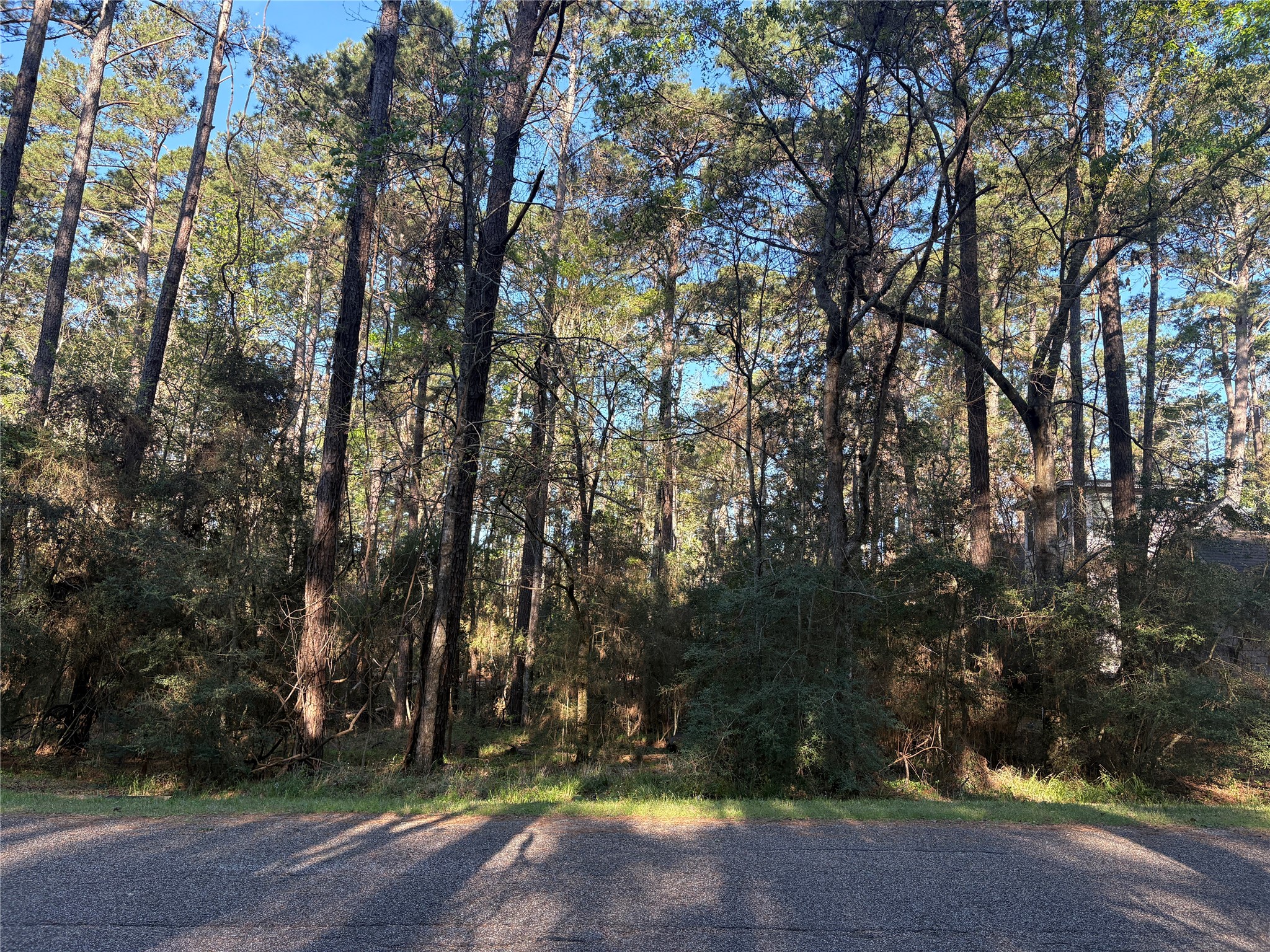 54 Green Tree Drive Property Photo 1
