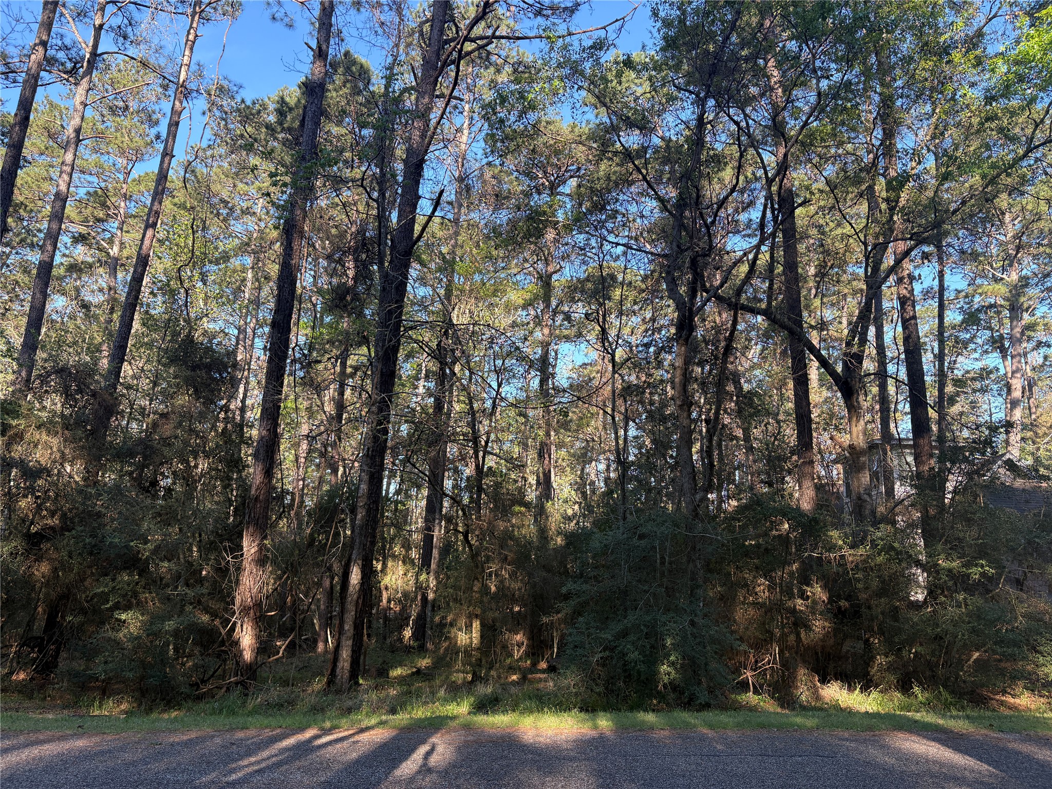 54 Green Tree Drive Property Photo 2