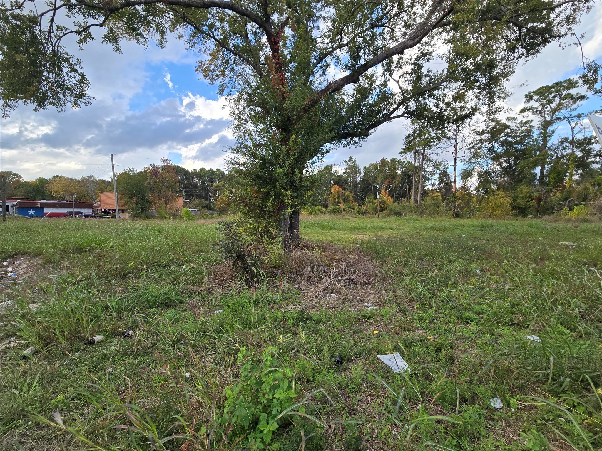 14918 Old Humble Road Property Photo 6