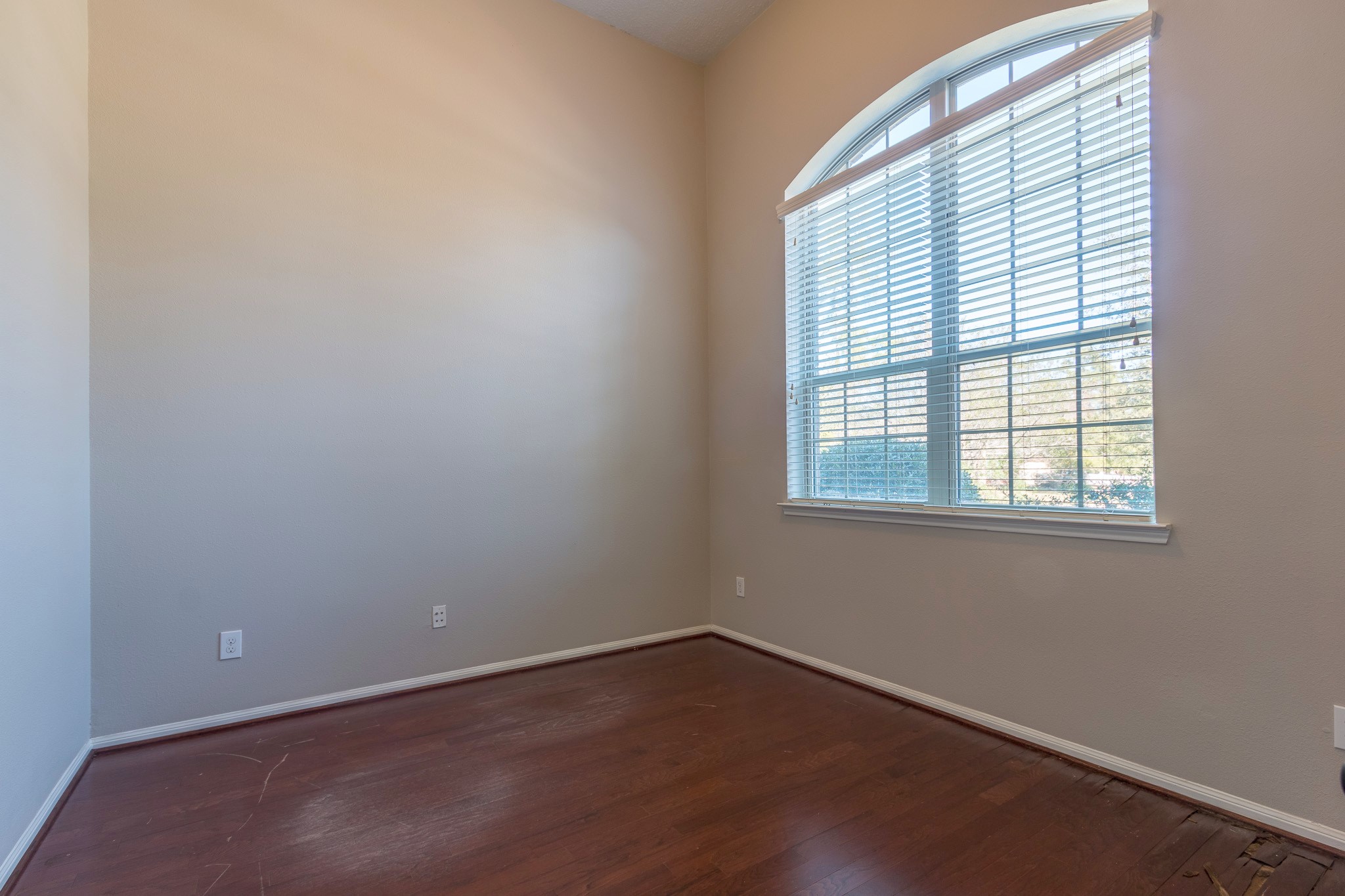 23 Bay Mills Place Property Photo 6
