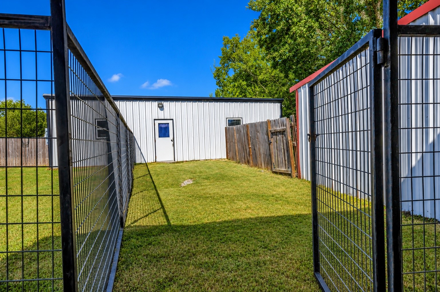 11885 Golden Mist Property Photo 40