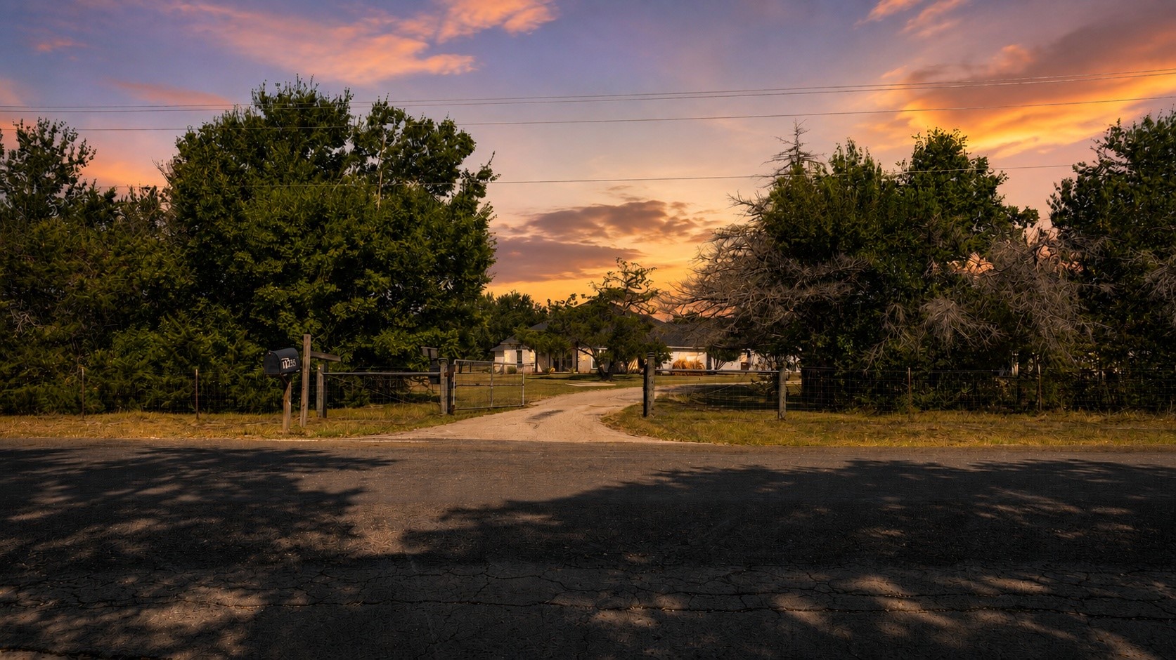 11885 Golden Mist Property Photo 49