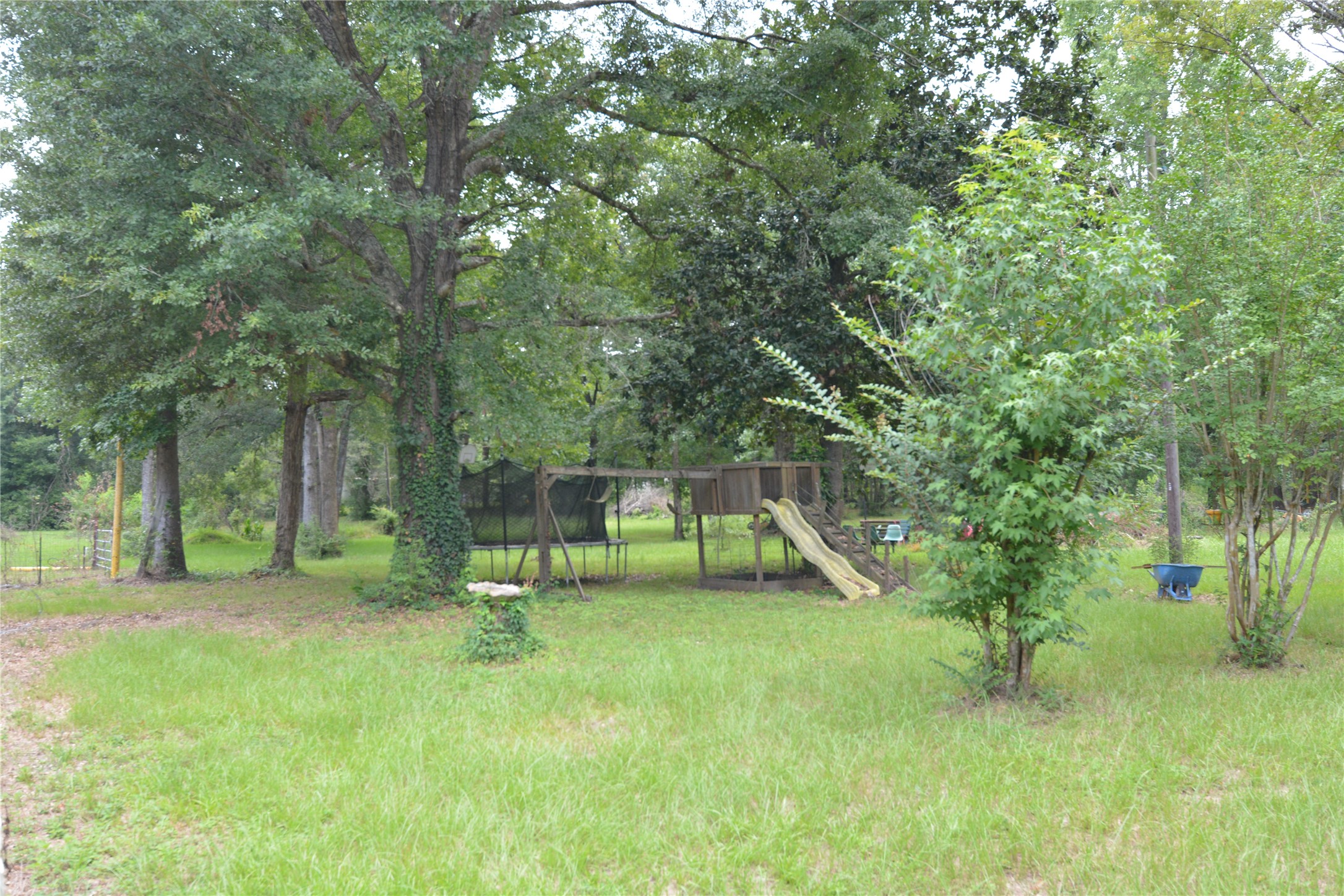 1120 Cherry Creek Drive Property Photo 10