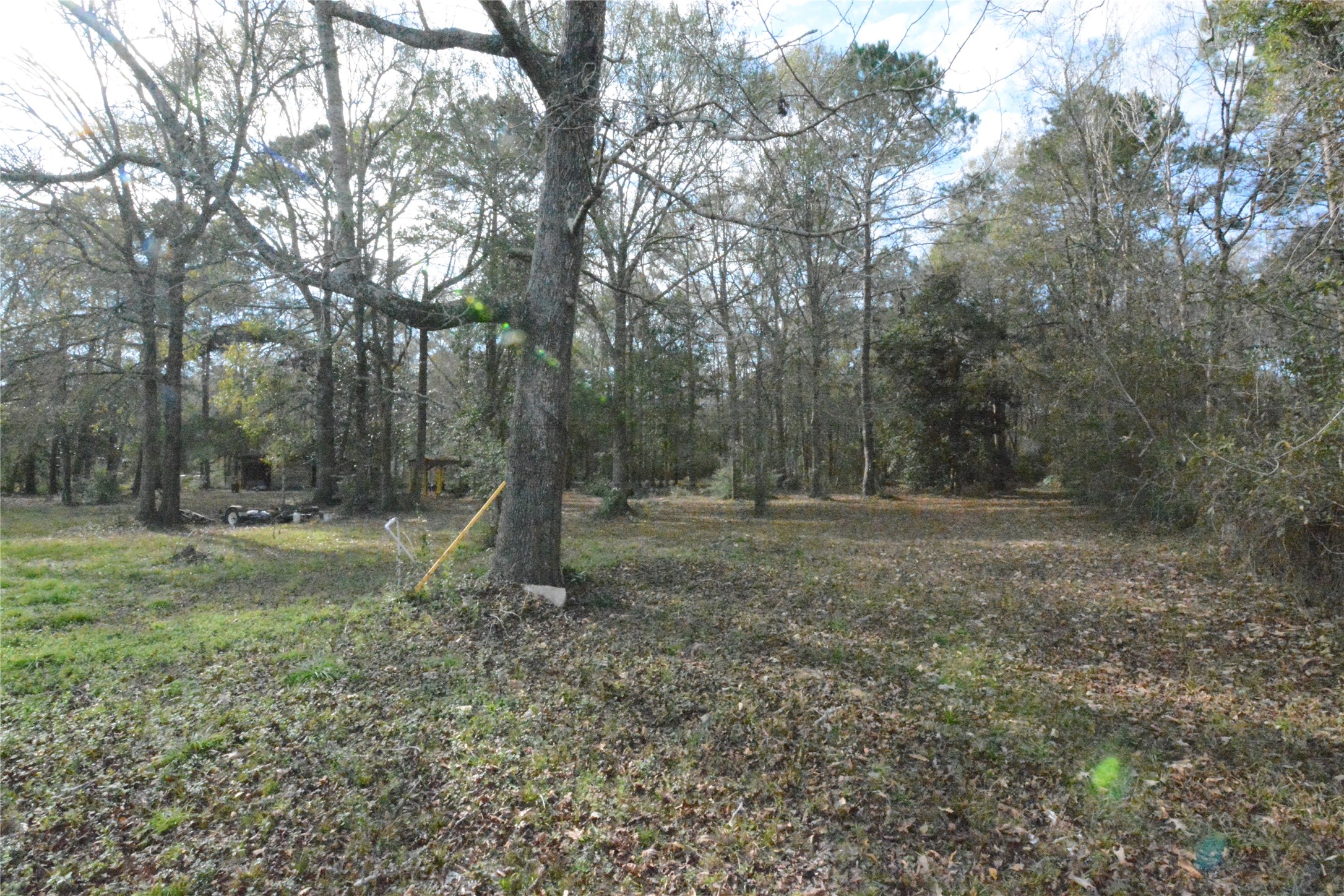 1120 Cherry Creek Drive Property Photo 28