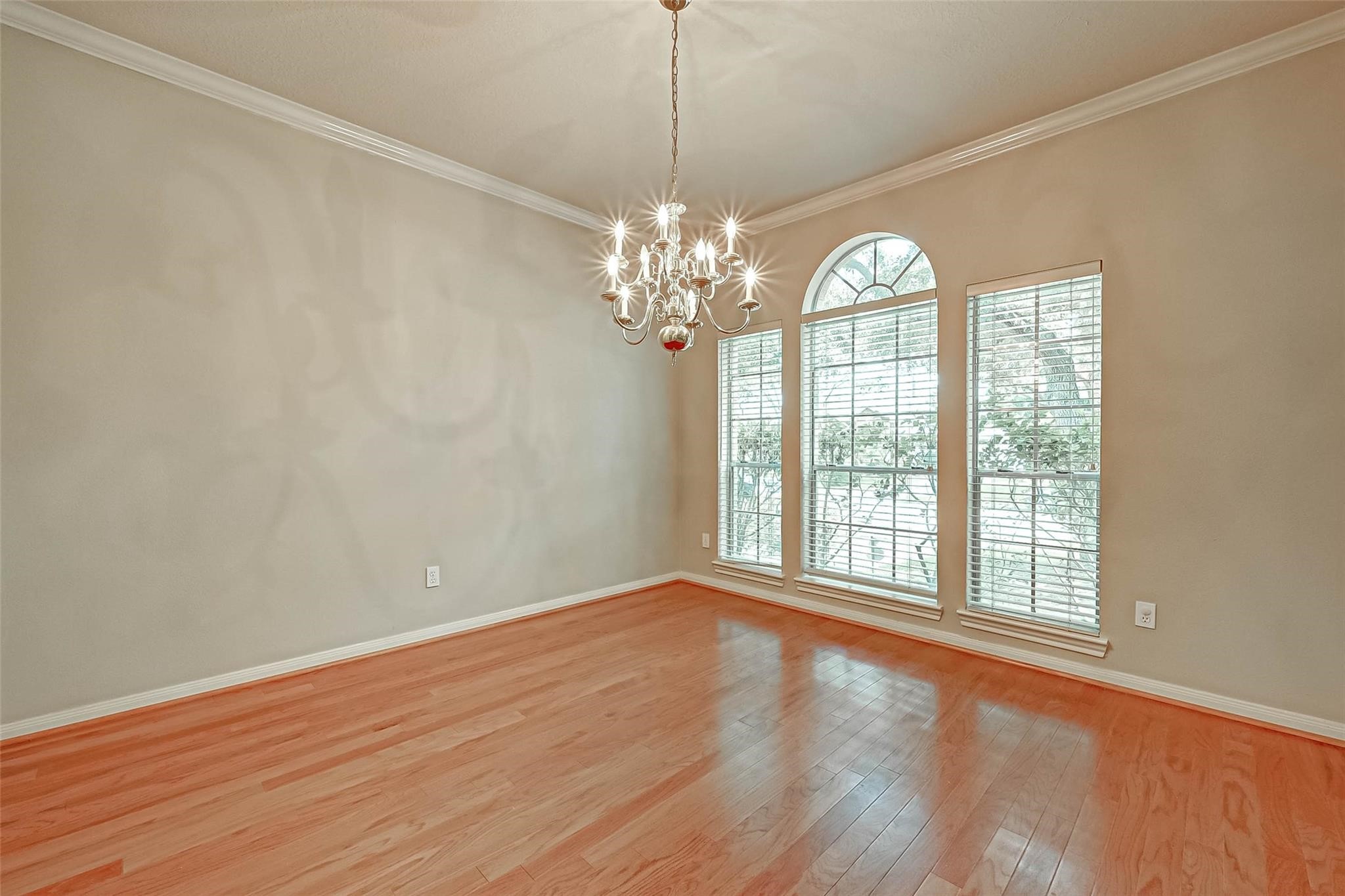12419 Shadycrest Drive Property Photo 4