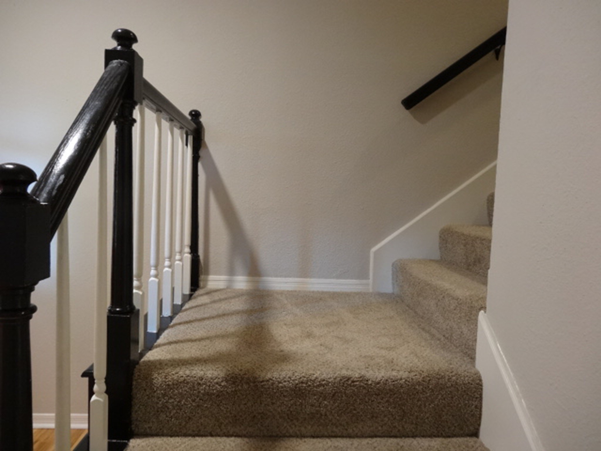 864 Augusta Drive 208 Property Photo 3
